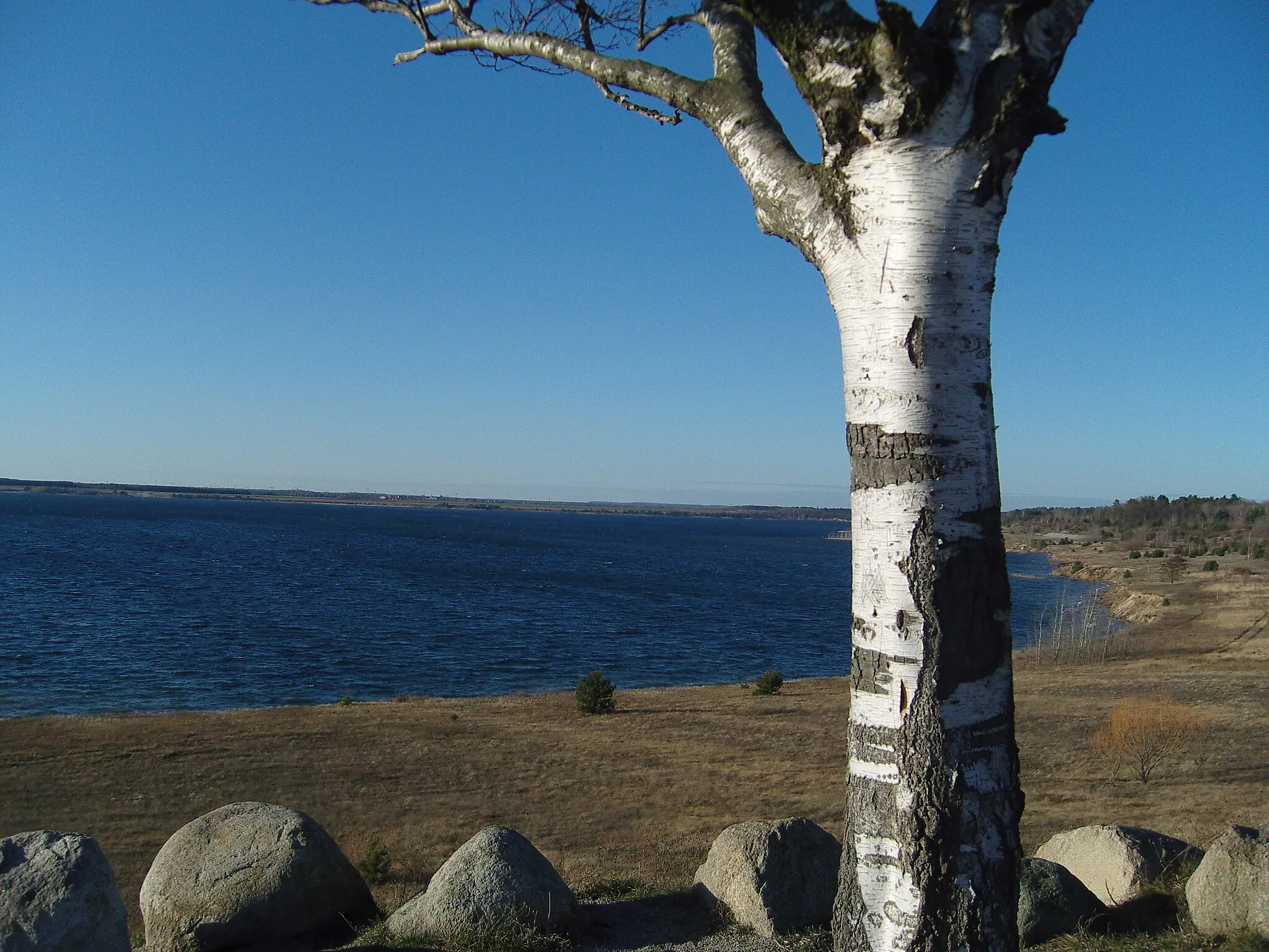 Photo showing: Sedlitzer See vom Aussichtspunkt in Lieske, Niederlausitz