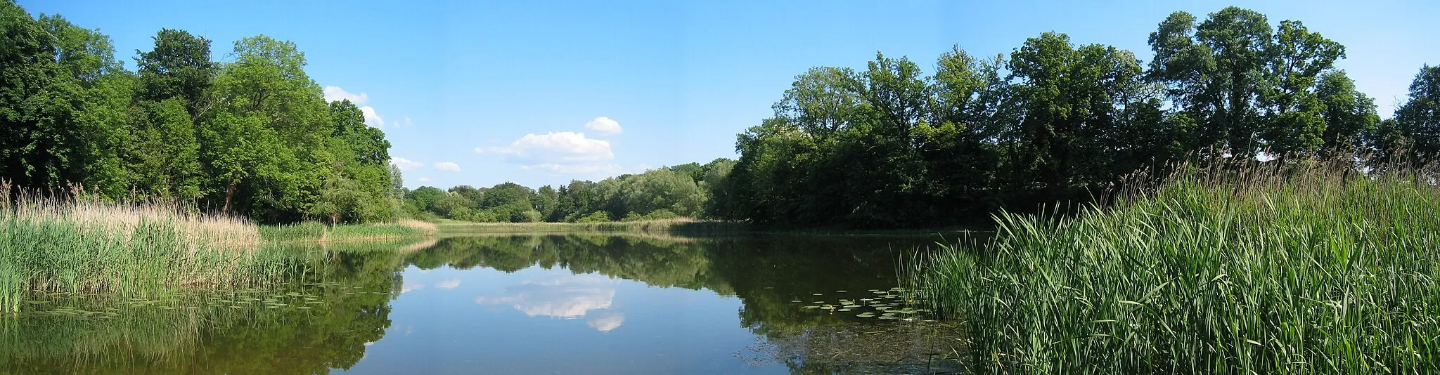 Photo showing: Haussee in Polßen in der Uckermark.