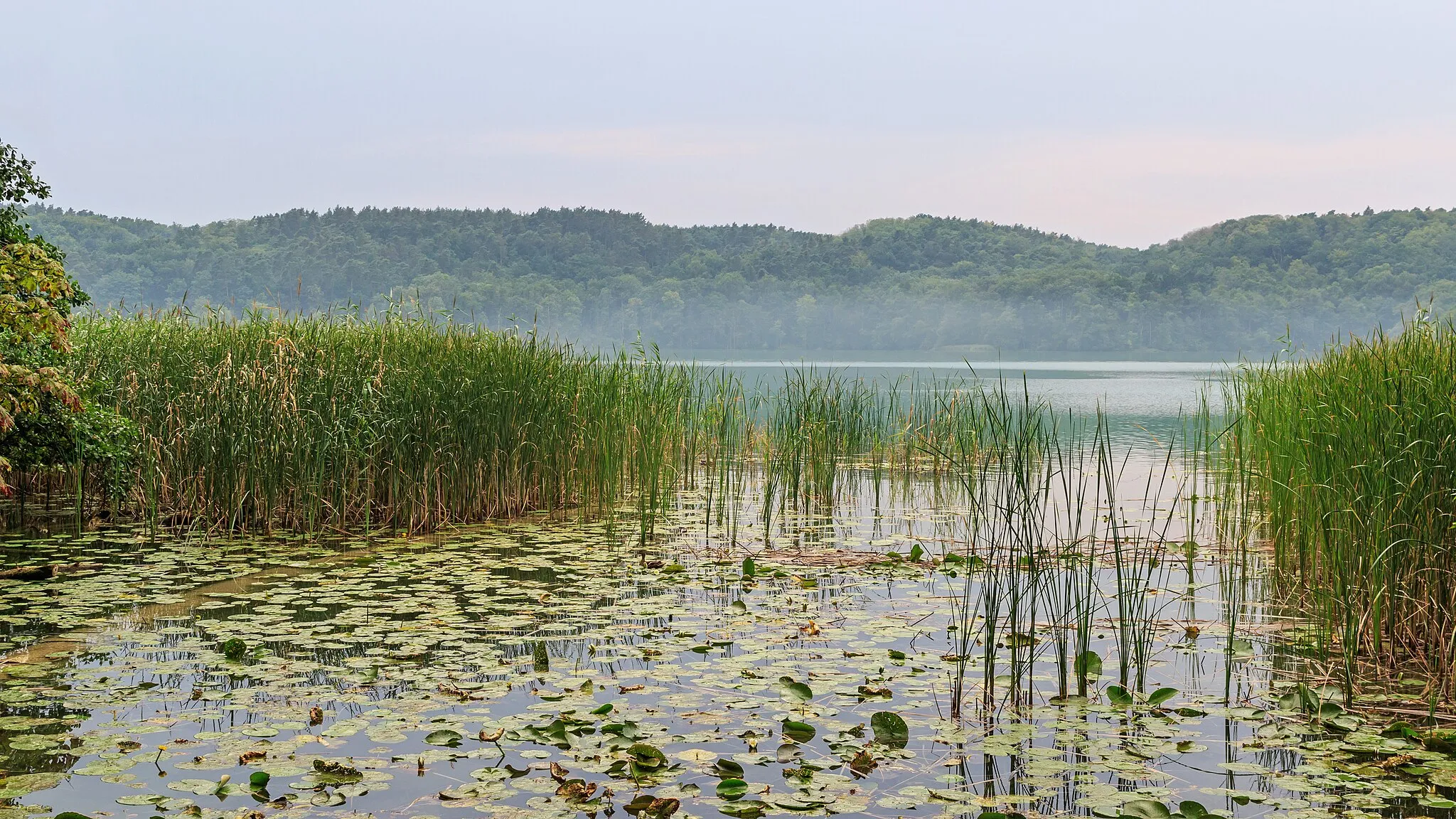 Photo showing: Lake Schermützelsee as seen from the garden of the Brecht/Weigel Museum in Buckow (Märkische Schweiz), Brandenburg, Germany