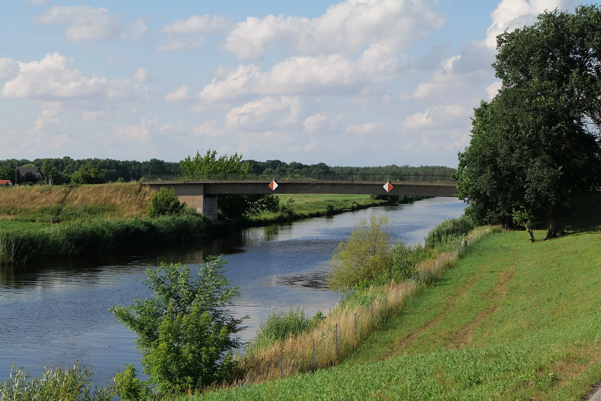 Photo showing: Alte Oder bei Gatow im Nationalpark Unteres Odertal.