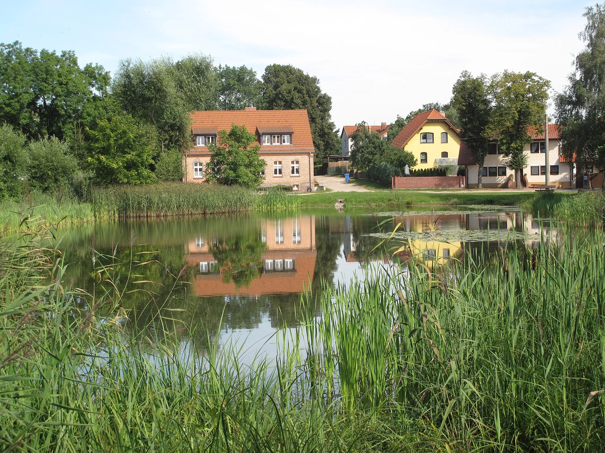 Photo showing: Villagepond Hohenstein. The village Hohenstein is a civil parish (Ortsteil) of the town Strausberg in the district Märkisch-Oderland, Brandenburg, Germany.