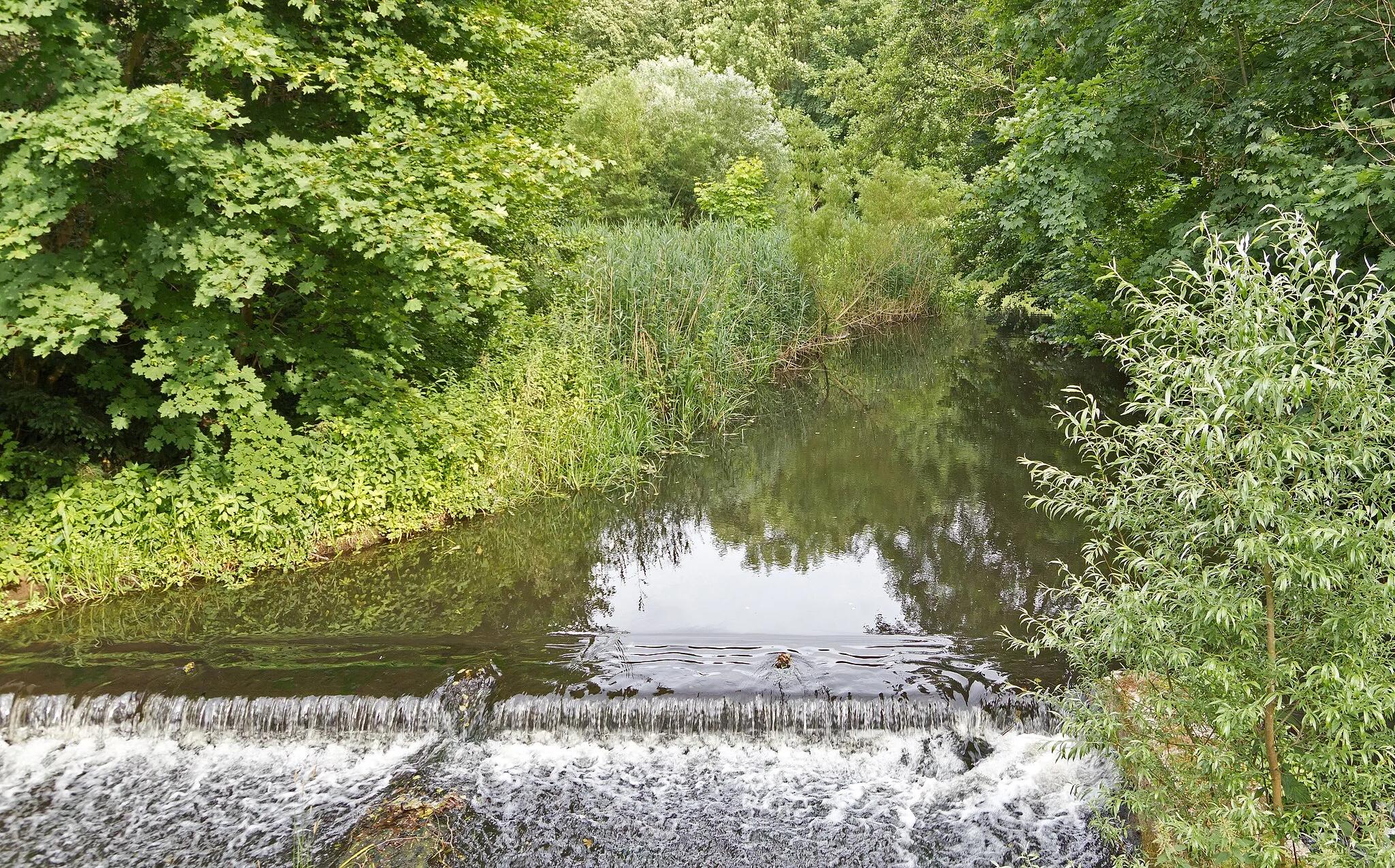 Photo showing: Stepenitz River near Wolfshagen Manor in Groß Pankow, Brandenburg, Germany