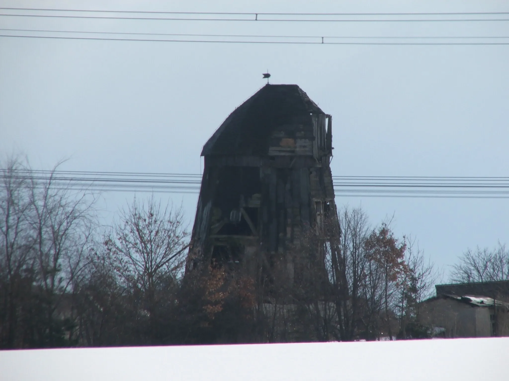 Photo showing: Erdholländer in Wehrhain 2010