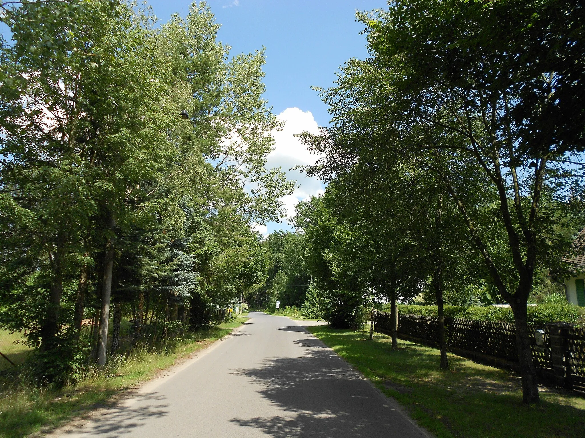 Photo showing: Bernöwer Straße zwischen Försterei + Dorfstraße