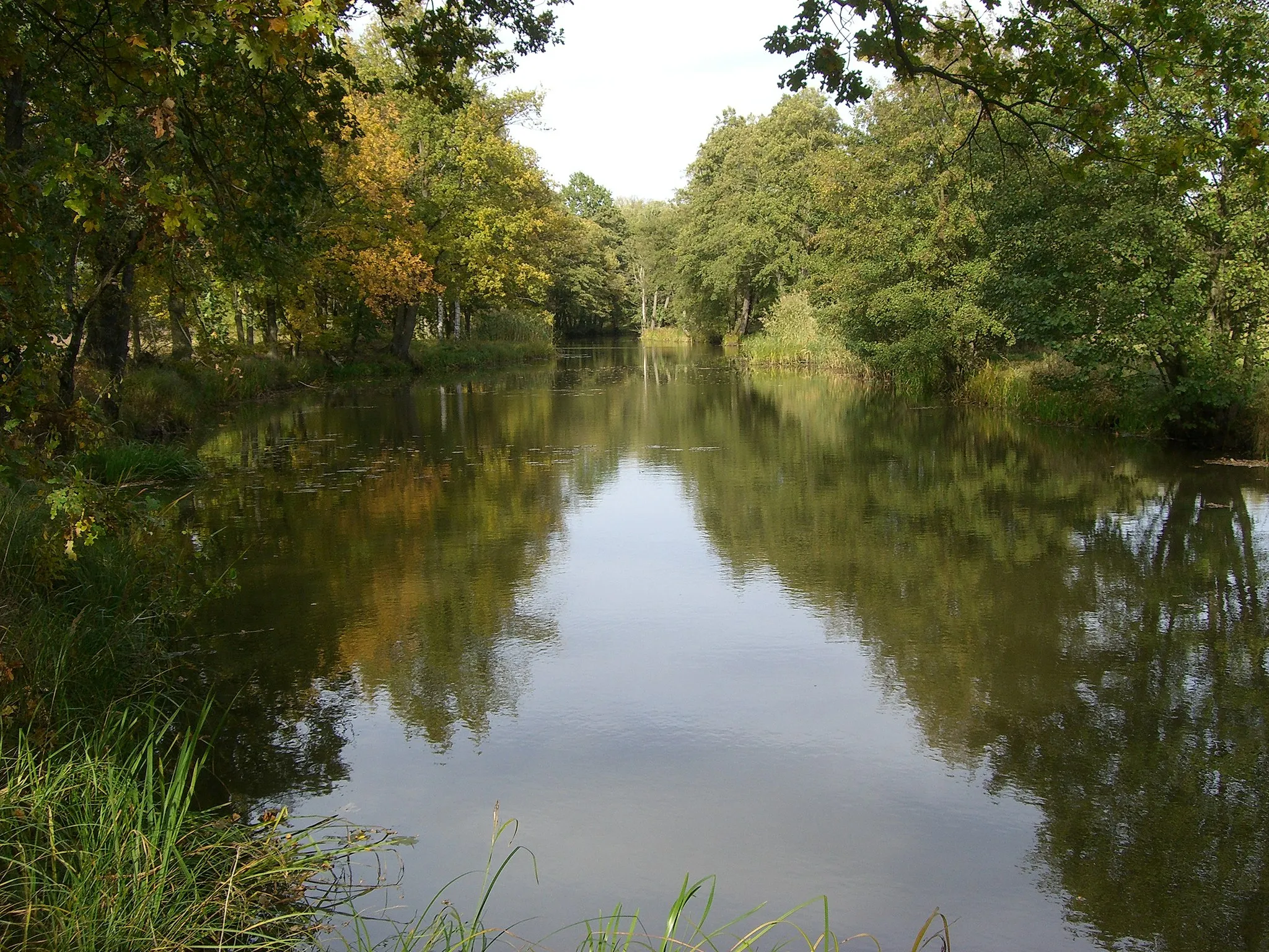 Photo showing: Der alte Flussverlauf der Schwarzen Elster bei Löben