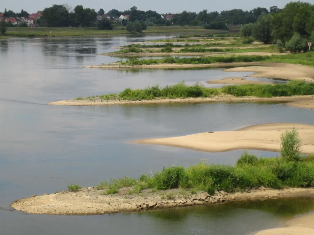 Photo showing: Groynes on the left (german) shore of river Oder near Aurith, borrough of Ziltendorf, Germany.