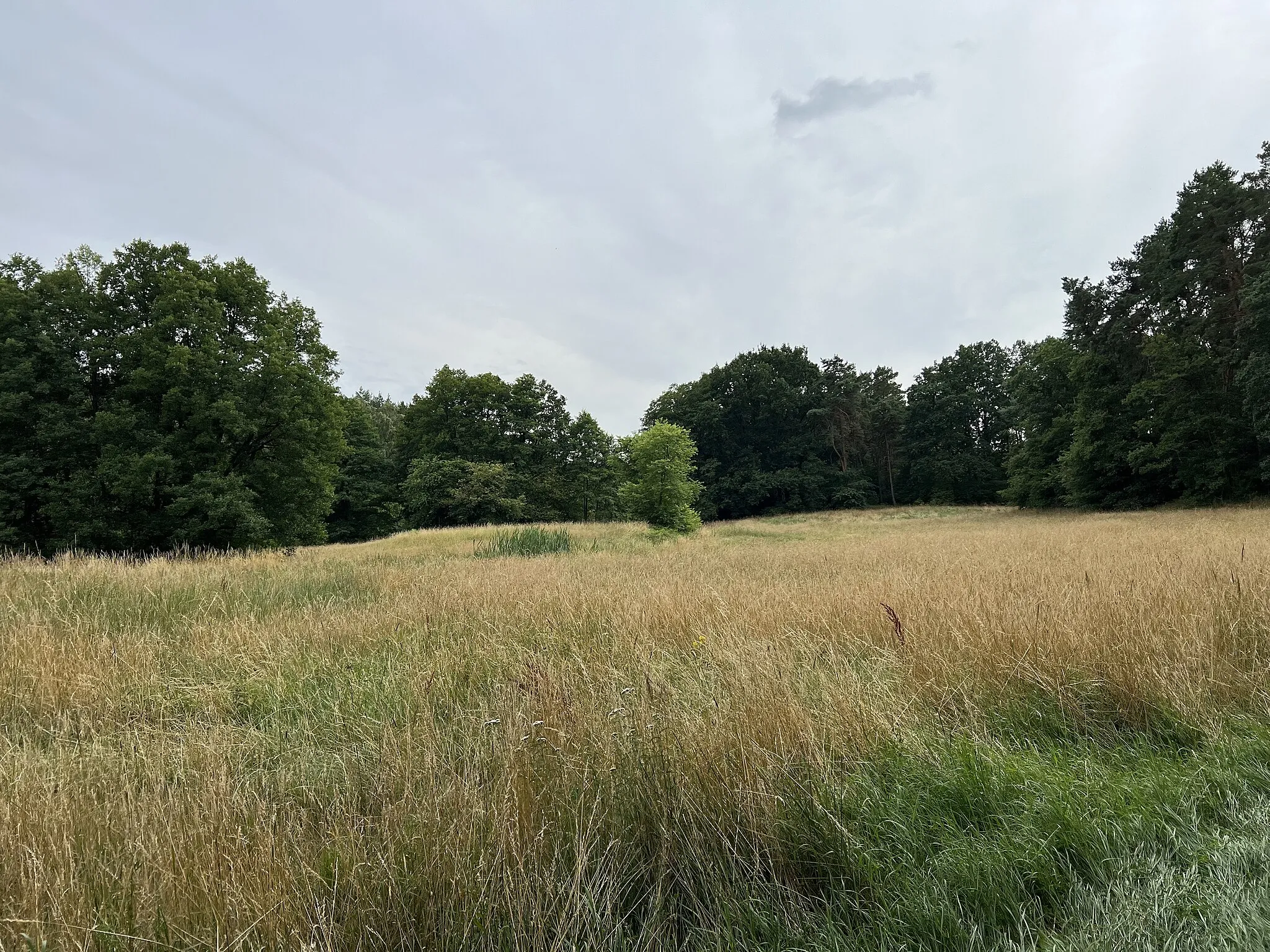 Photo showing: Naturschutzgebiet Tegeler Fließtal in Basdorf, Wandlitz, Landkreis Barnim, Brandenburg, Deutschland