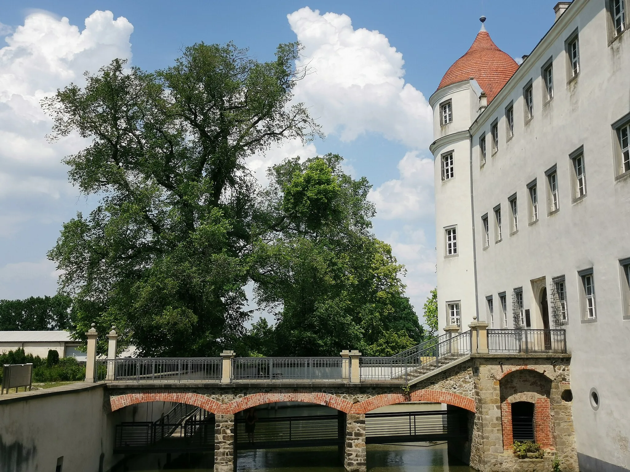 Photo showing: Als Naturdenkmal geschützte Ulme am Schloss Großkmehlen
