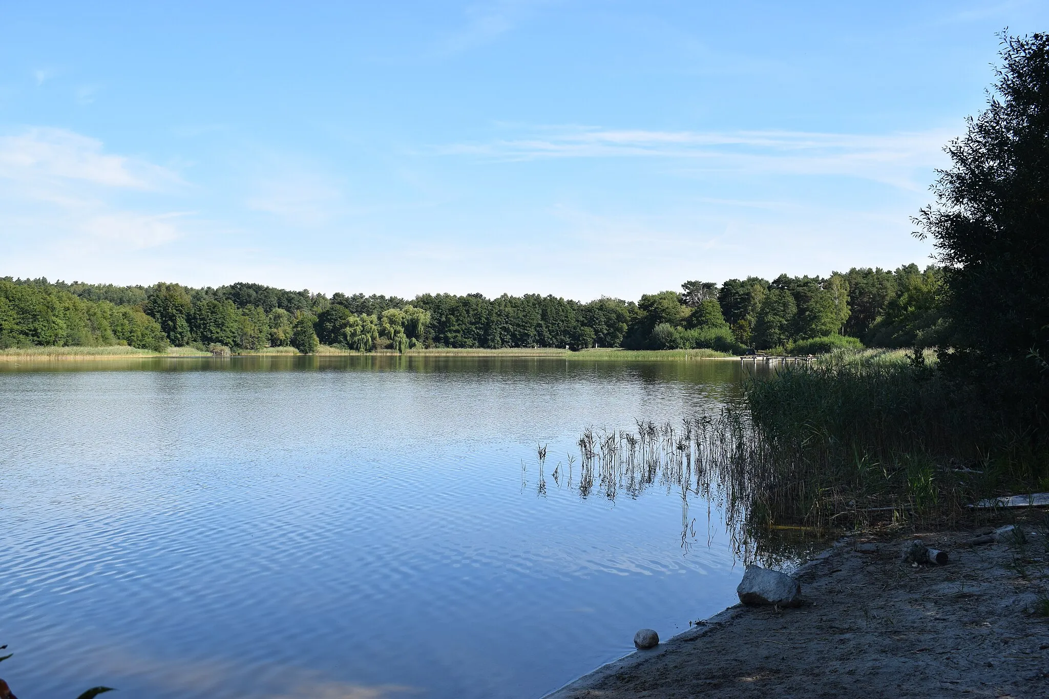 Photo showing: Blick über den Petersdorfer See, Bad Saarow, Brandenburg.