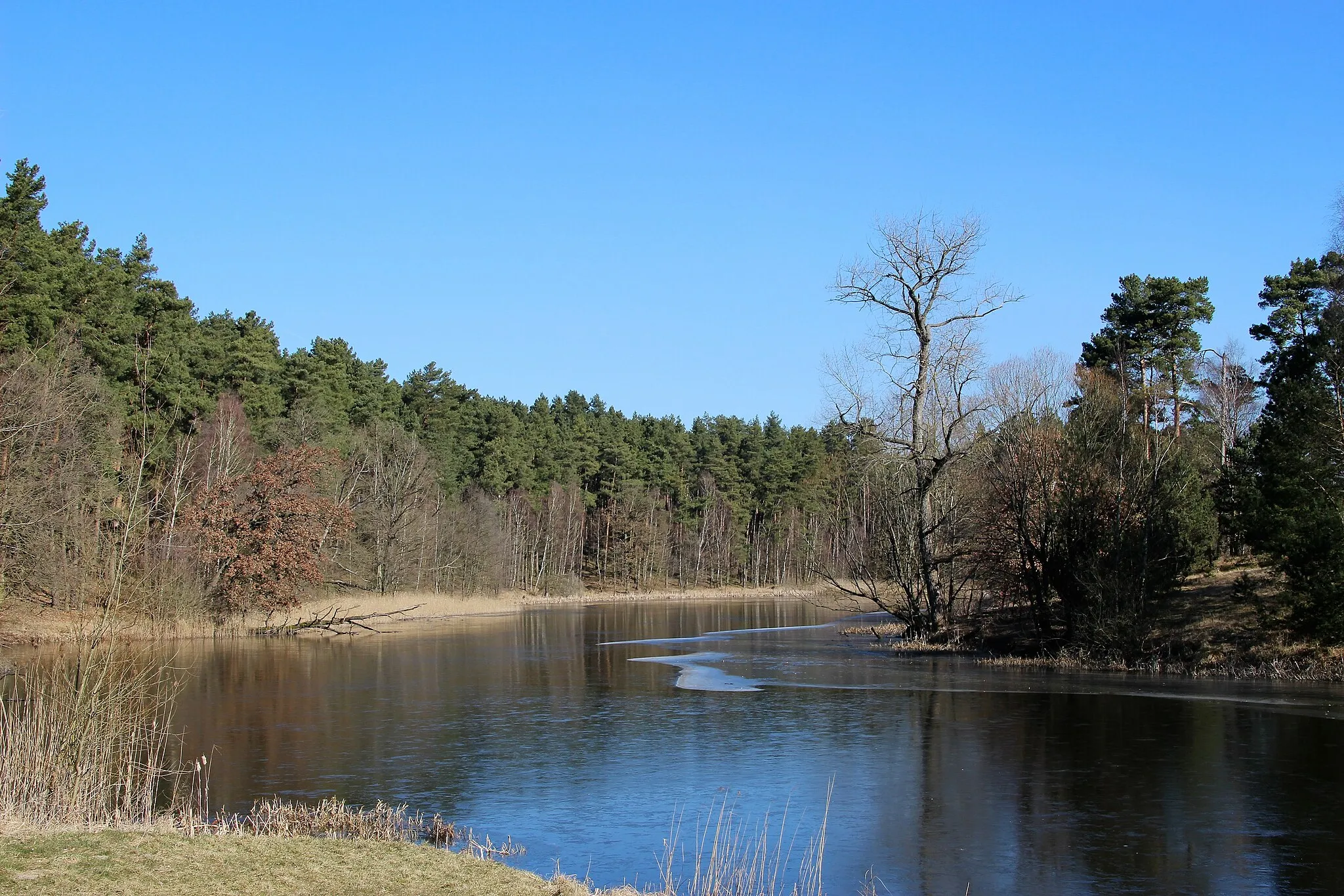 Photo showing: Südwestliches Ende vom Mühlenteich