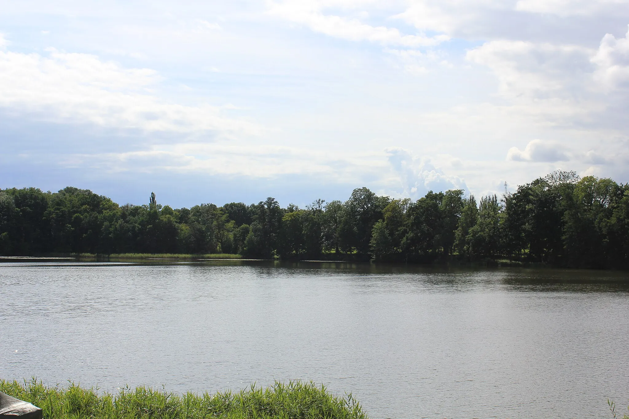 Photo showing: The lake Diestelower See