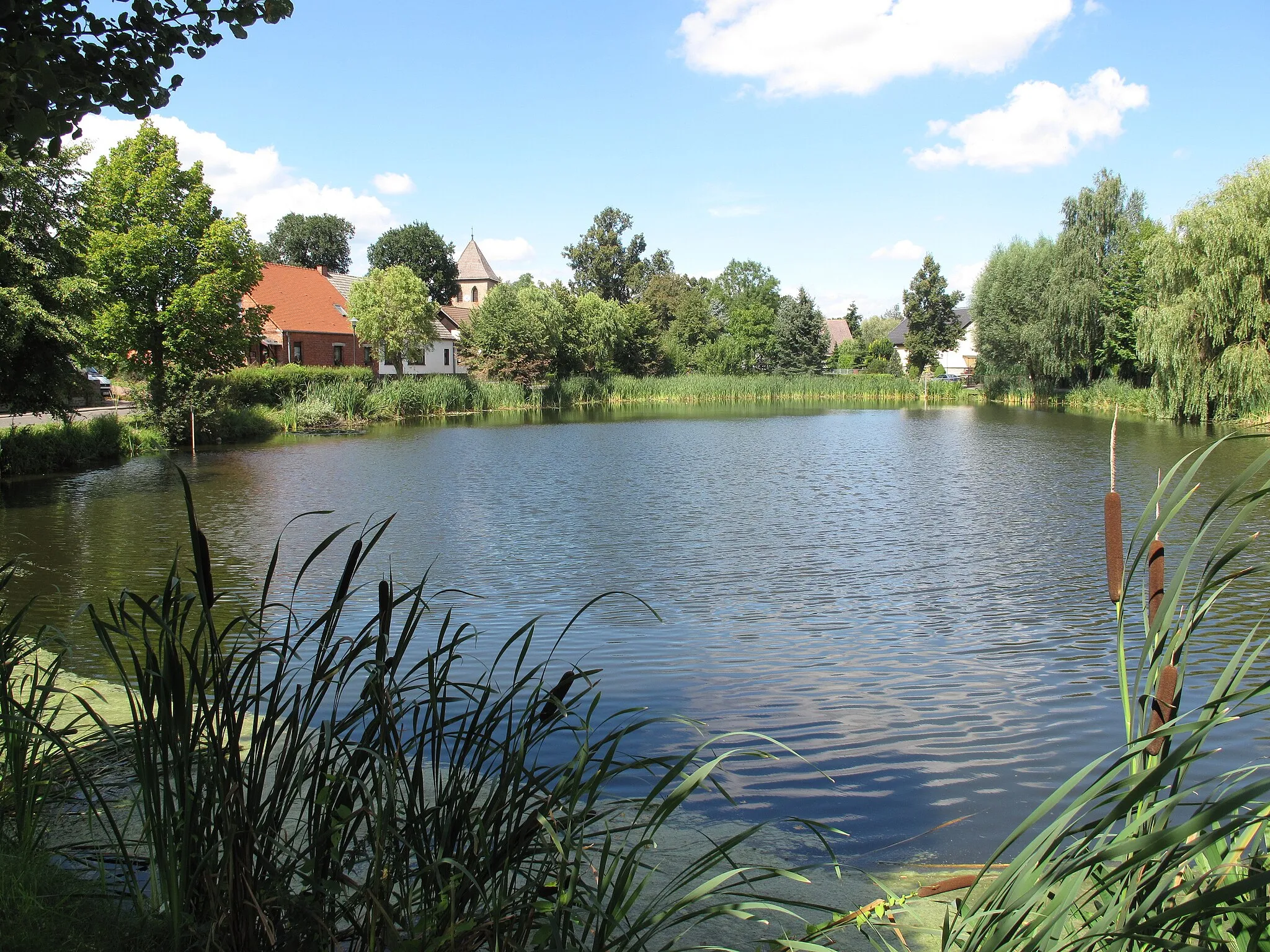 Photo showing: Village pond in Bollersdorf. Bollersdorf is a village of the municipality Oberbarnim in the District Märkisch-Oderland, Brandenburg, Germany. It is situated in the Märkische Schweiz Nature Park.