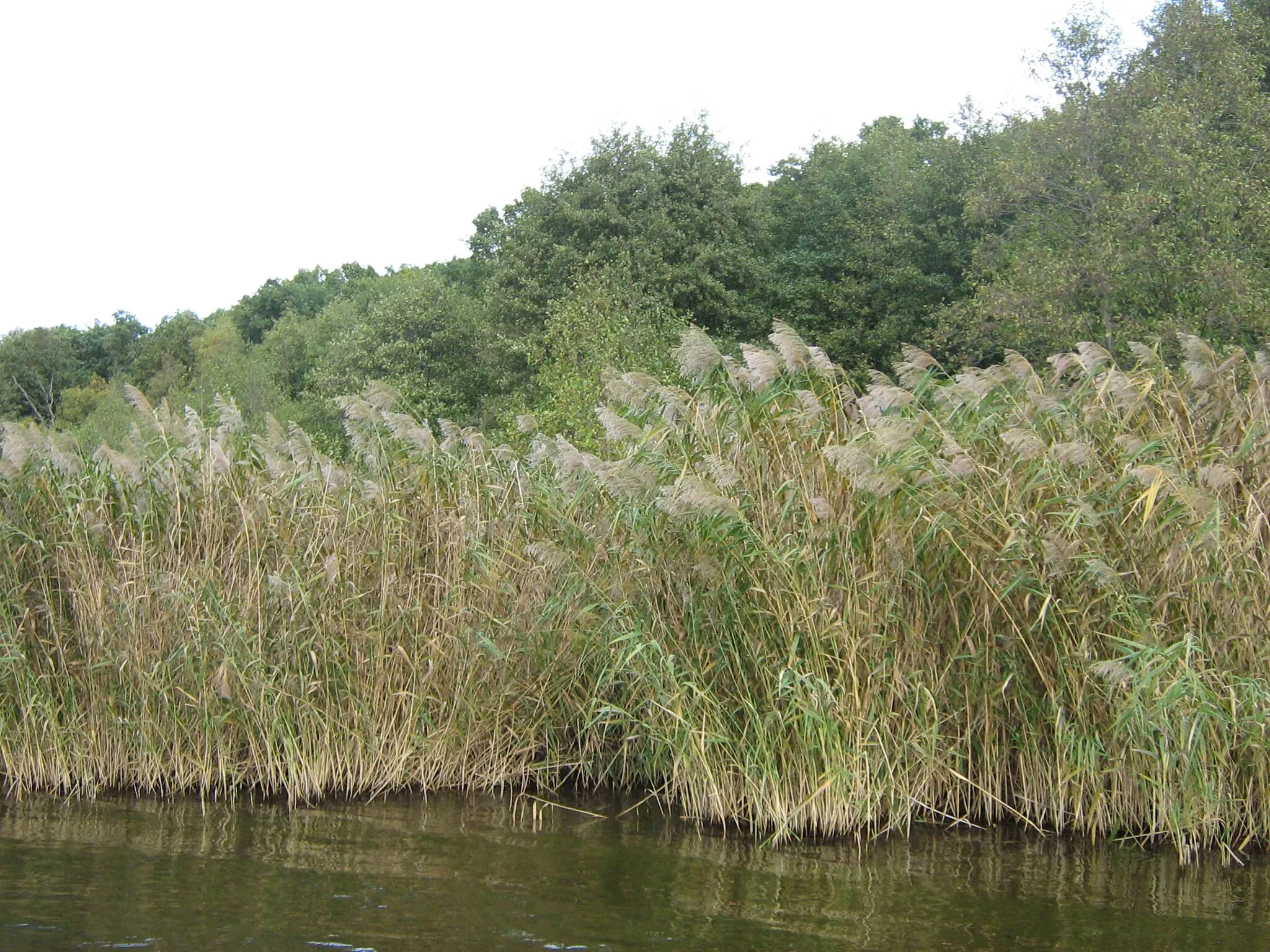 Photo showing: The Lake "Schwielowsee" (River Havel) in Brandenburg (Germany).