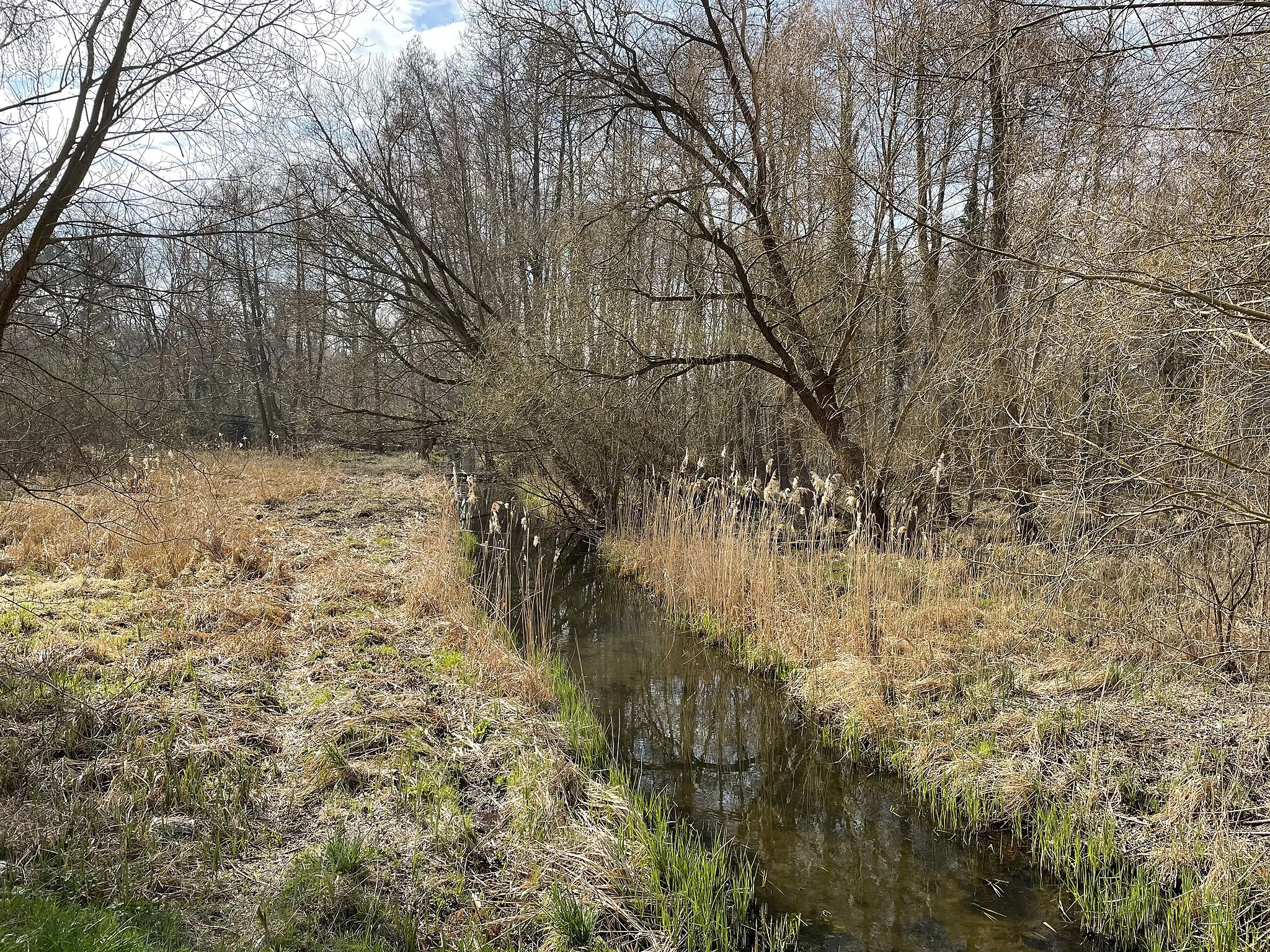 Photo showing: Schneidegraben, ein Entwässerungsgraben im Landkreis Teltow-Fläming in Brandenburg