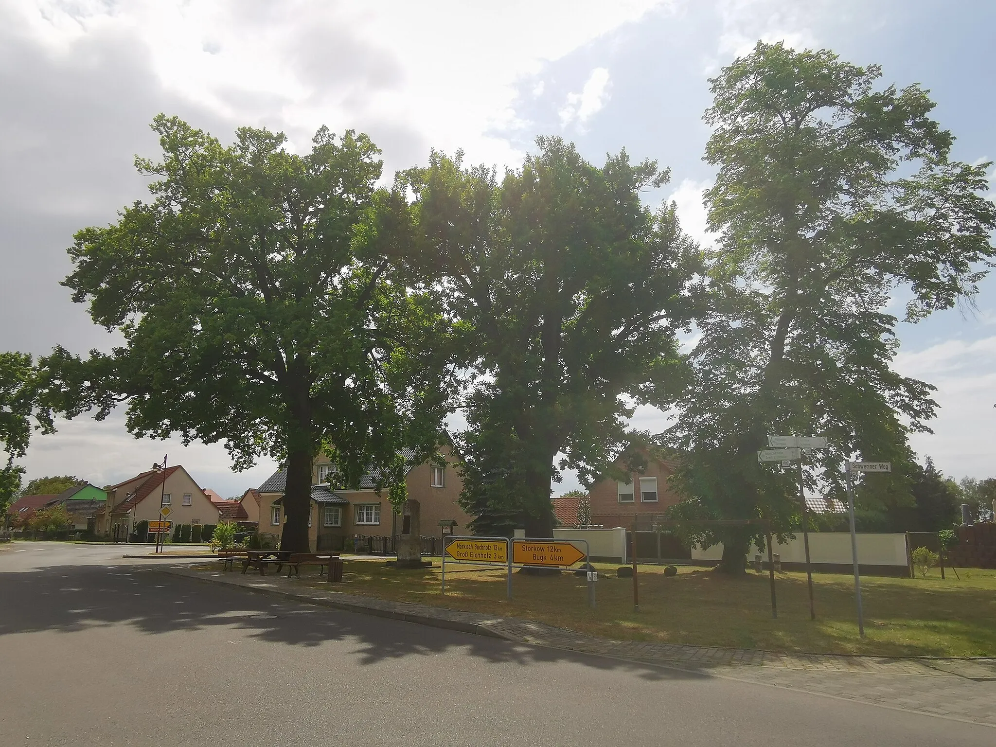 Photo showing: Eichen am Kriegerdenkmal in Kehrigk, an den Eichen befindet sich ein Schild "Geschützte Gehölze"