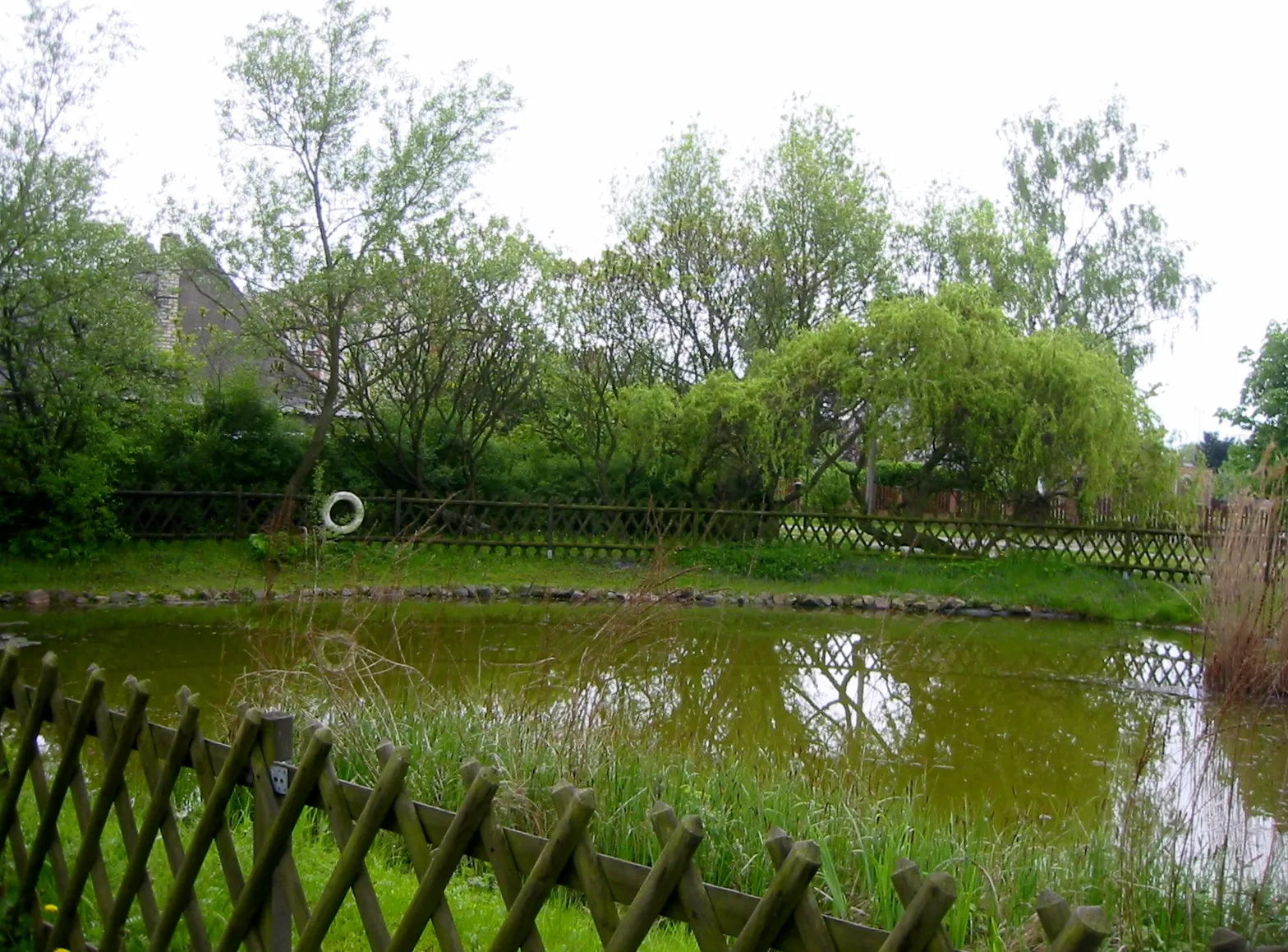Photo showing: Teich der Adonisquelle von Roland Rother in Mallnow, einem Ortsteil von Lebus in Märkisch-Oderland (Brandenburg). Das Kunstwerk ist auf einem verfallenen Parkgelände entstanden und symbolisiert die Region, die eiszeitlich geformt wurde. Die Namensgebung erinnert an die Adonisröschenblüte.