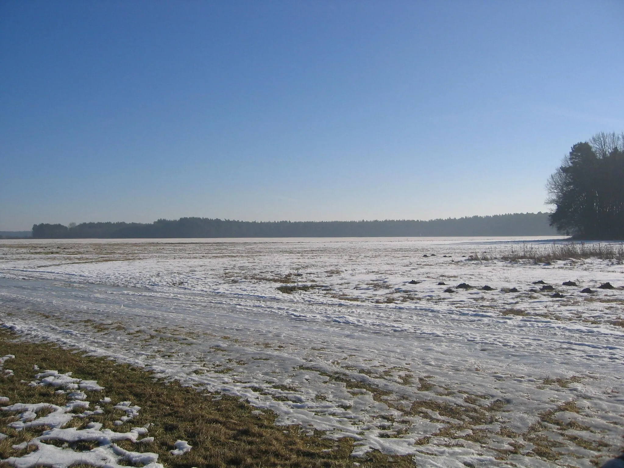 Photo showing: Ruhland, Feldweg zwischen Neulandweg und Wiesenstraße, Winter; Im Dernauken (alter Flurname), (hier neu Am Dürrbachgraben (Flurname)); der Waldrand im Hintergrund gehört zu Im Jensteck