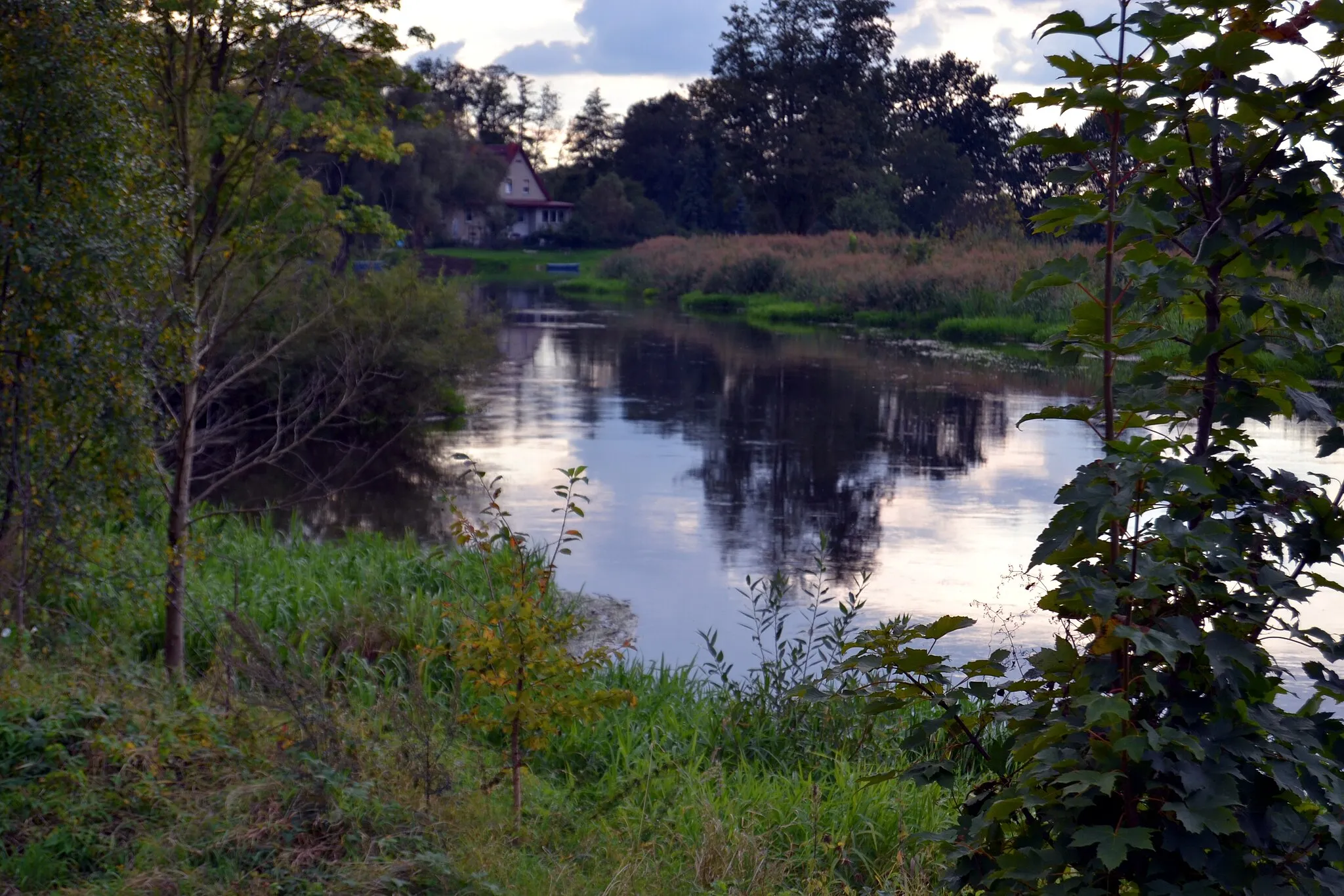 Photo showing: Spreeverlauf bei zwischen Neu-Hartmannsdorf und Hartmannsdorf