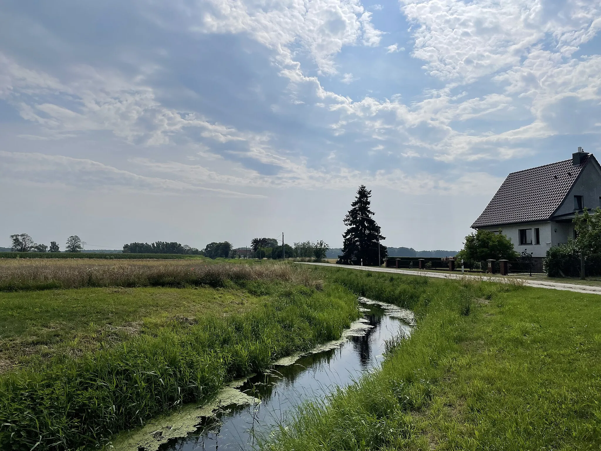 Photo showing: Rieploser Fließ bei Rieplos, Brandenburg