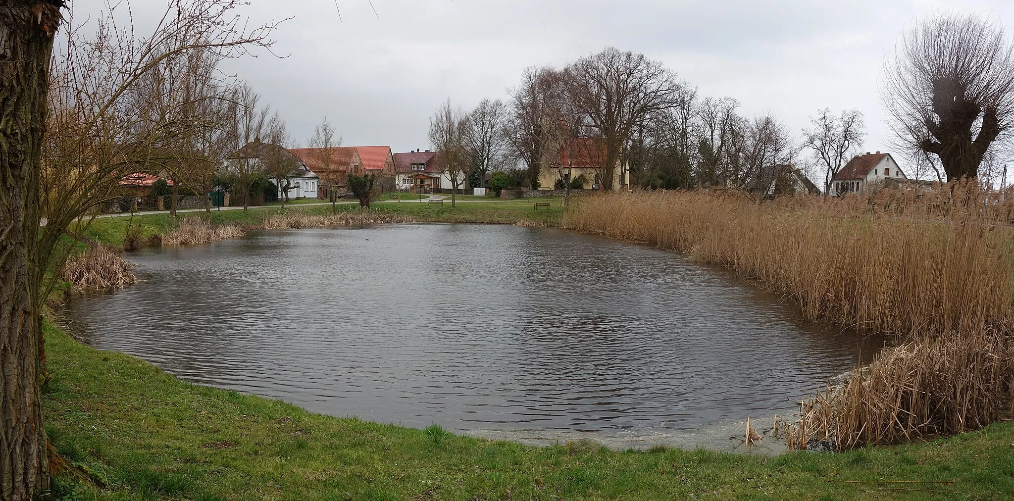 Photo showing: South-eastern view of the village pond  in Pritzhagen , Oberbarnim municipality , Märkisch-Oderland district, Brandenburg state, Germany.