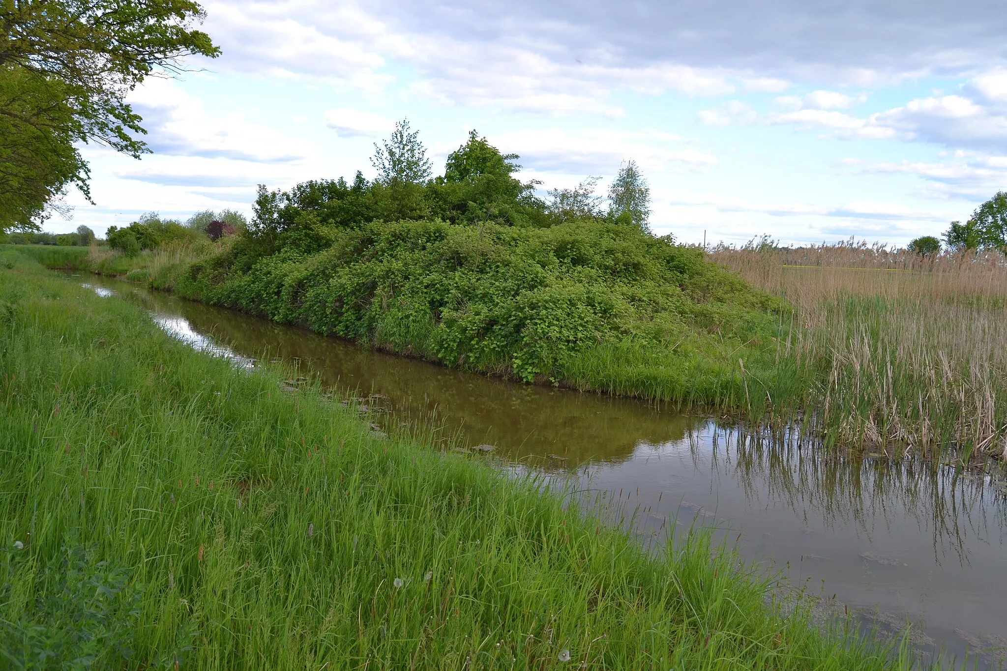 Photo showing: Graben und Teich an der Ortwiger Hauptstrasse, Gemeinde Letschin.