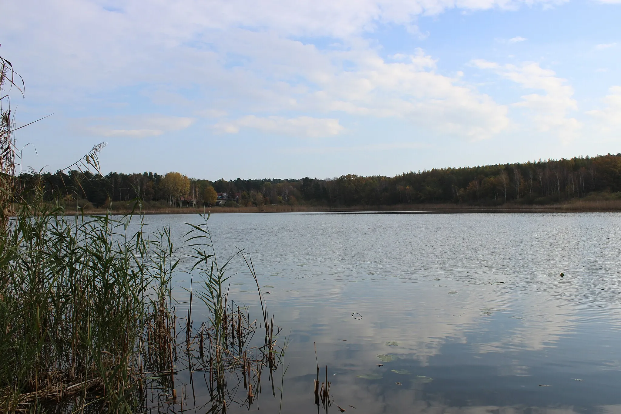 Photo showing: Der Kleine Kolpiner See im Herbst