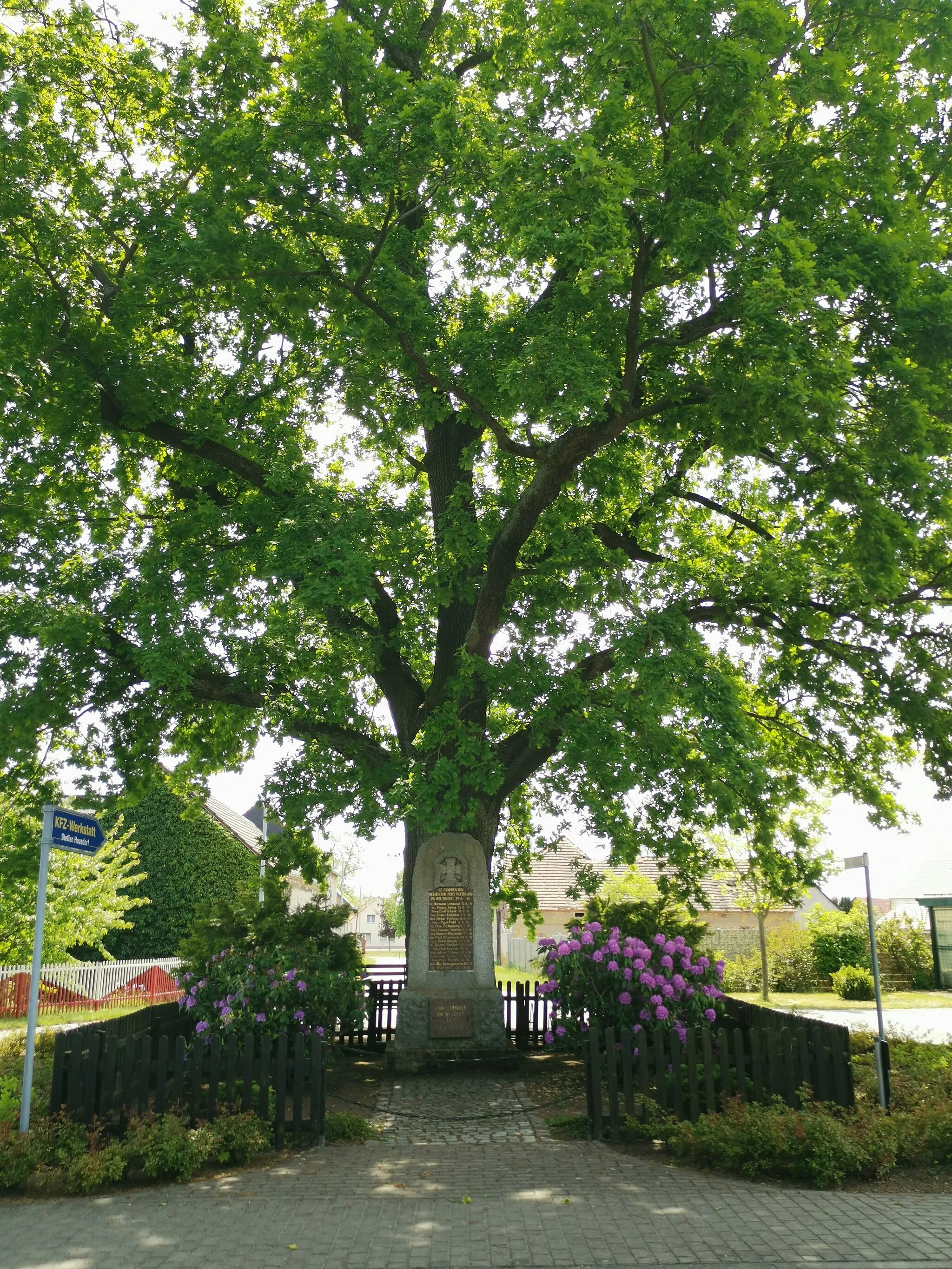 Photo showing: Als Naturdenkmal geschützte Stieleiche am Kriegerdenkmal in Grünewald