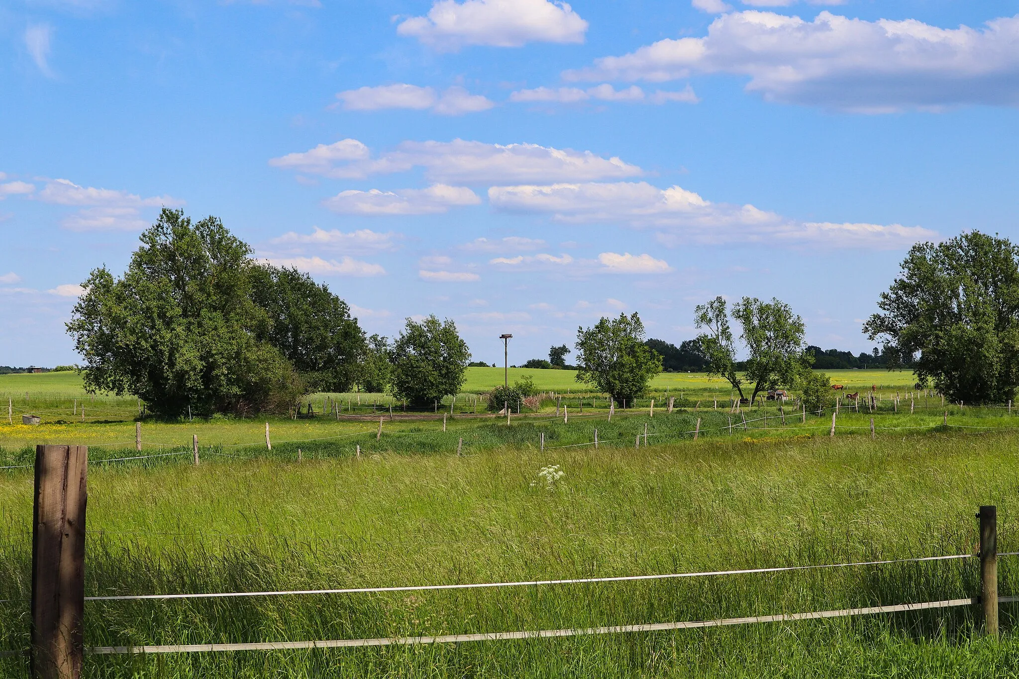 Photo showing: Vehlefanz, Blick von der Dorfstraße