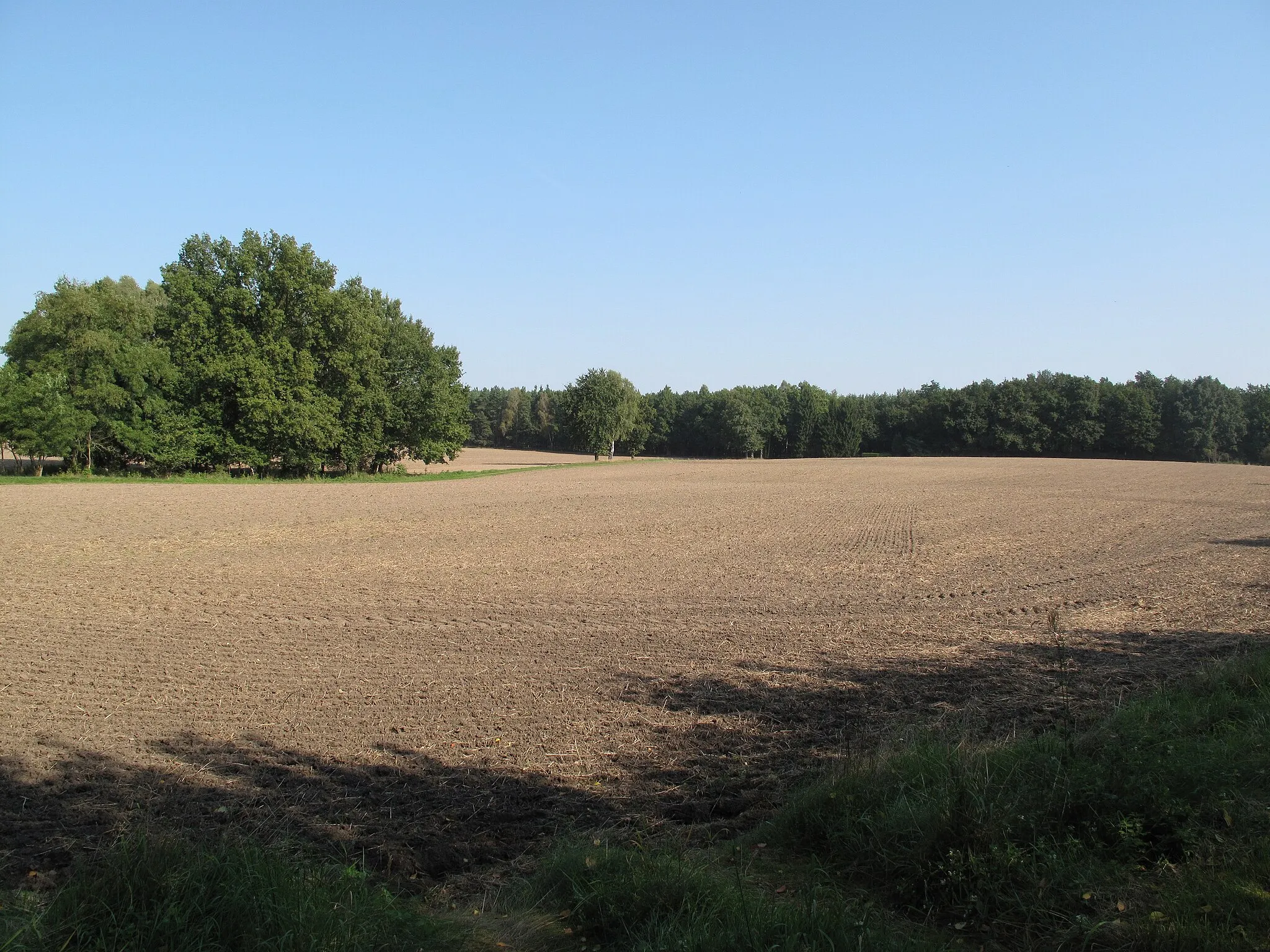 Photo showing: Agricultural landscape in Schwenow. Schwenow is a village in the District Oder-Spree, Brandenburg, Germany. Schwenow belongs to Limsdorf, a part (german: Ortsteil) of the town Storkow. It is situated in the Dahme-Heideseen Nature Park and in the Naturschutzgebiet (protected area)/Natura 2000-area Naturschutzgebiet Schwenower Forst.