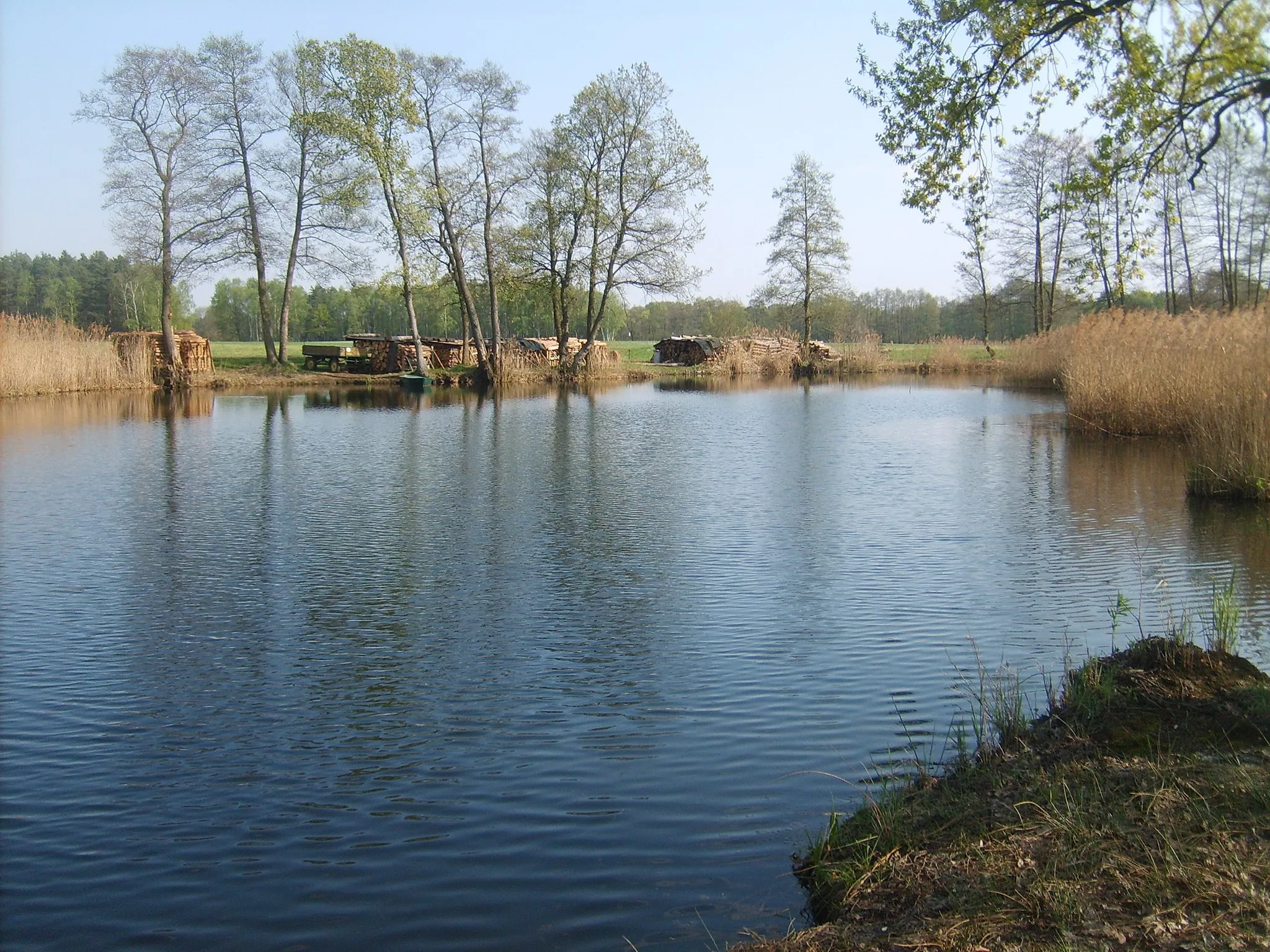 Photo showing: Alter Flußlauf der Schwarzen Elster bei Zeischa