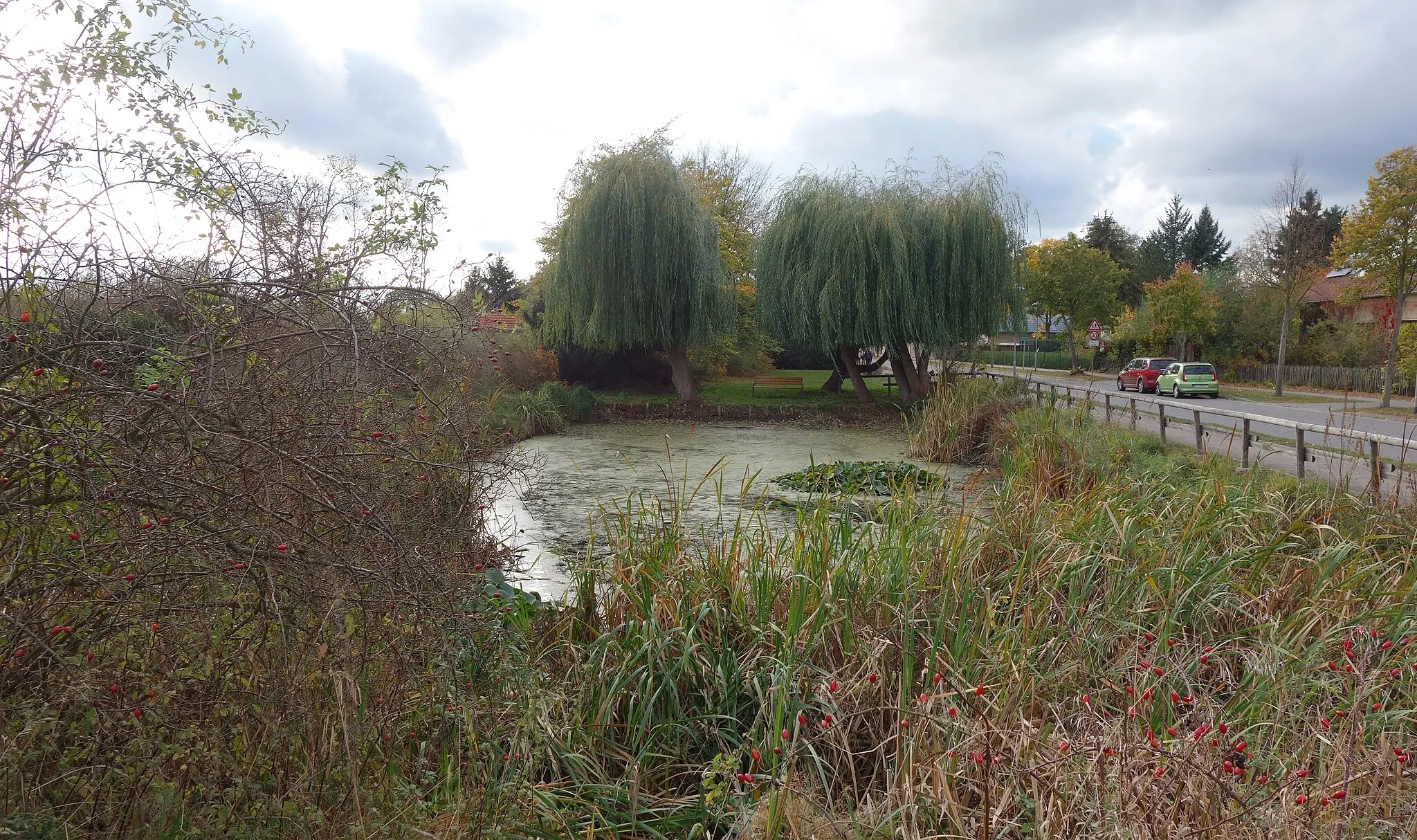 Photo showing: Eastern view of the village pond in Schenkenhorst , Stahnsdorf municipality , Potsdam-Mittelmark district, Brandenburg state, Germany