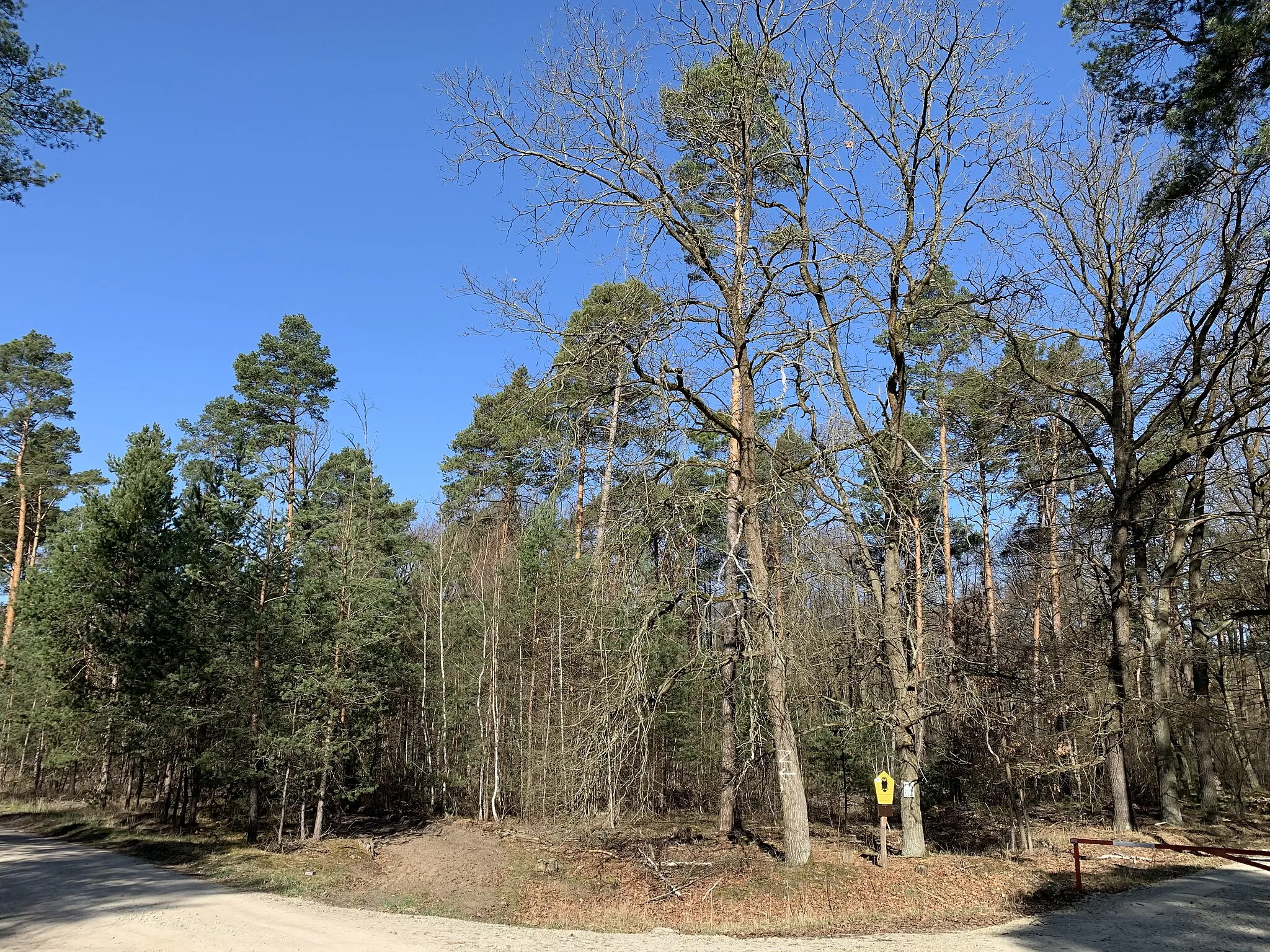 Photo showing: Der Fledermausweg ist ein rund 11,2 km langer Wanderweg im Naturpark Nuthe-Nieplitz in Brandenburg. Er erschließt die Ortsteile Hennickendorf und Märtensmühle der Gemeinde Nuthe-Urstromtal und führt um das NSG Bärluch herum.