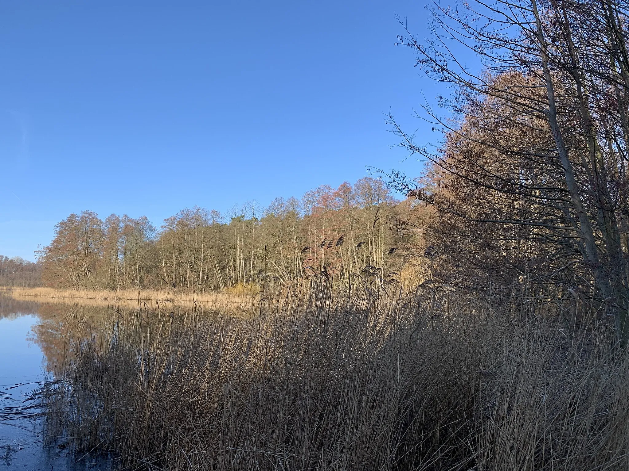 Photo showing: Karutzsee, Gewässer auf der Gemarkung der Stadt Erkner in Brandenburg