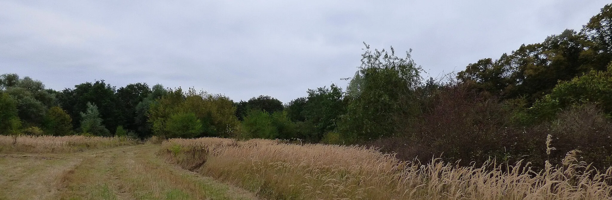 Photo showing: Einstige Ortslage von Alt Lönnewitz