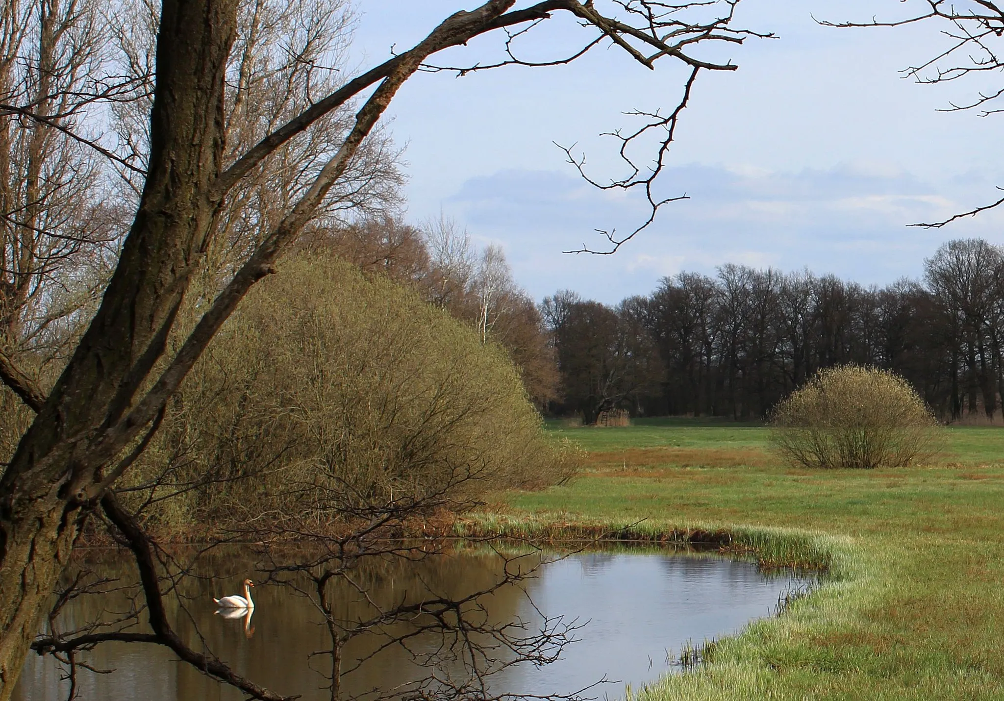 Photo showing: Das Naturschutzgebiet Alte Röder bei Prieschka.