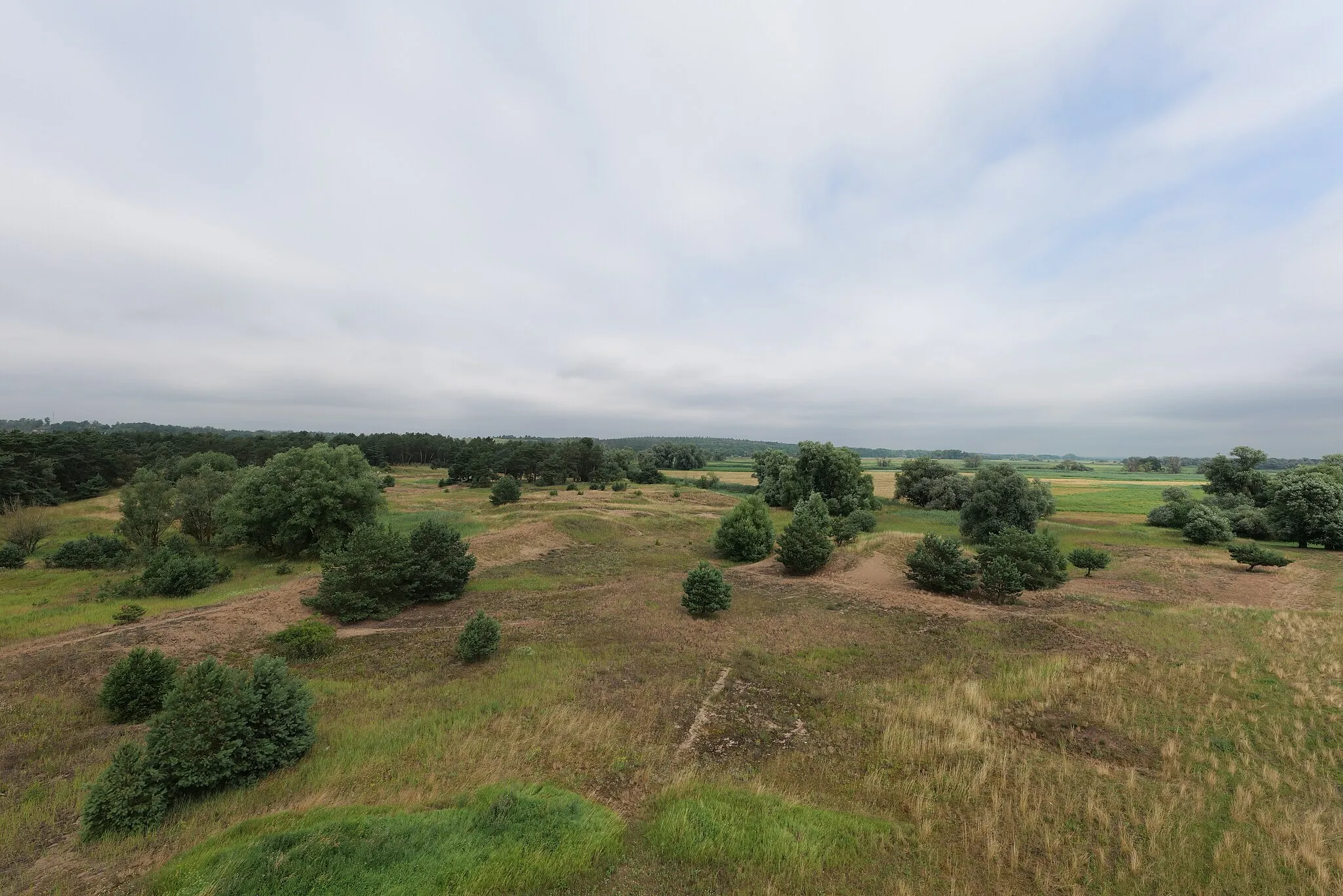 Photo showing: Nationalpark Unteres Odertal vom Aussichtsturm Fliegender Kranich aus.