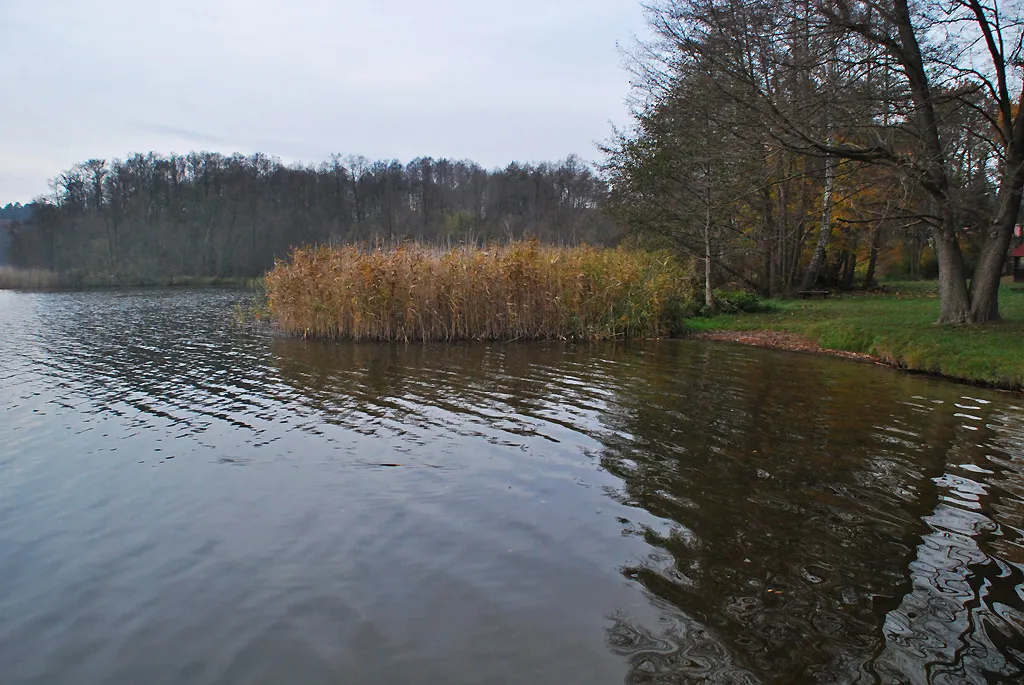 Photo showing: Molchowsee