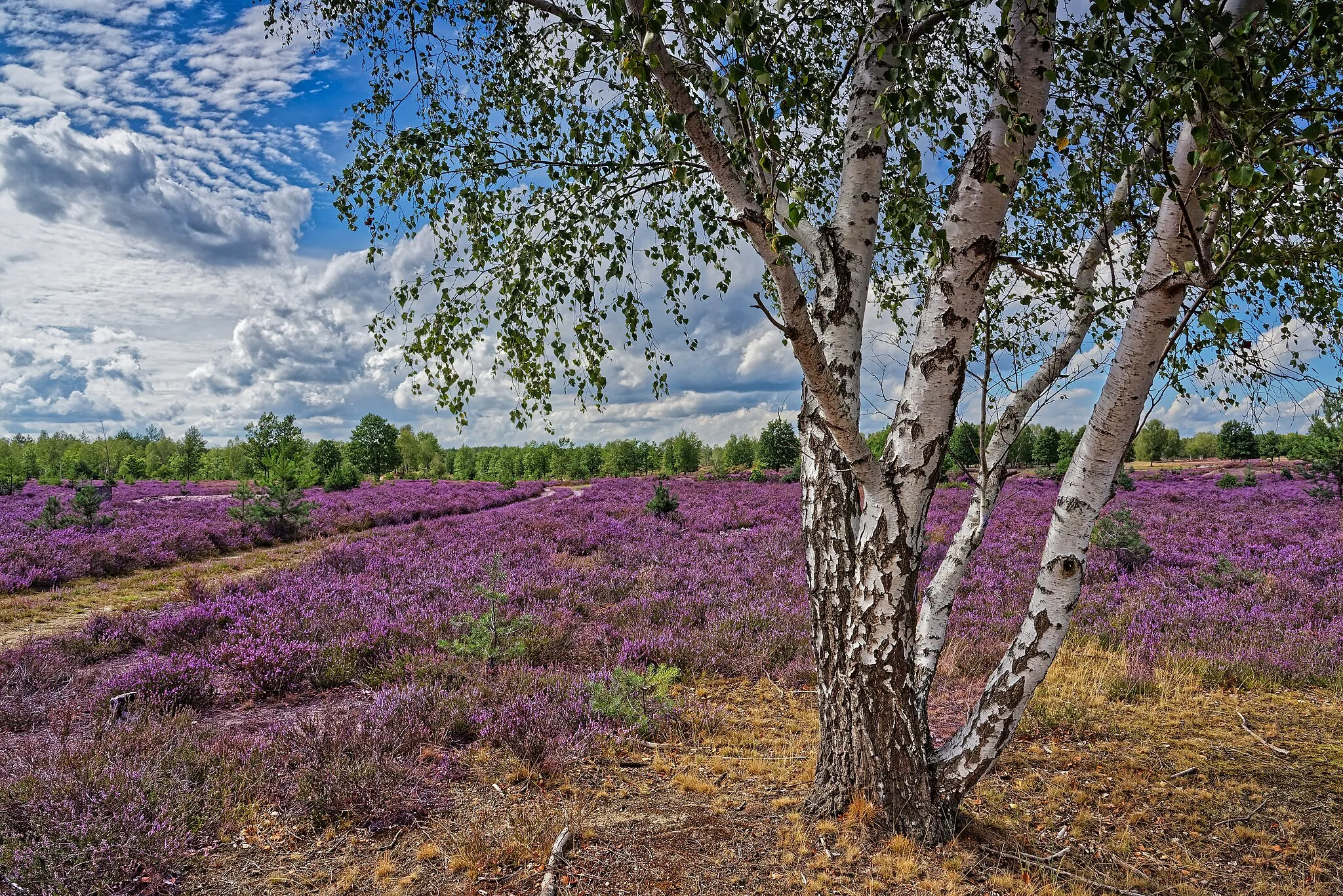 Photo showing: This is a picture of the protected area listed at WDPA under the ID