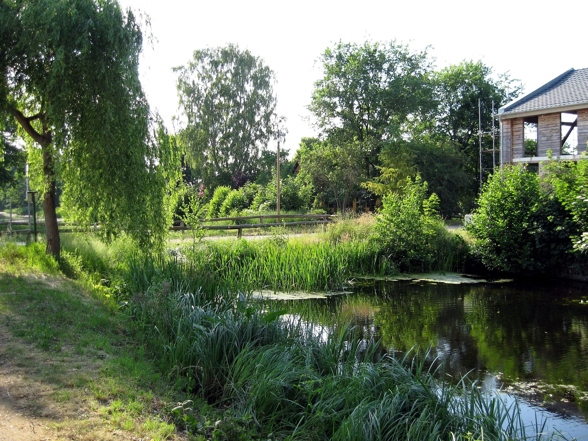 Photo showing: Damm der Forststraße am Langen Trödel in Zerpenschleuse, Gemeinde Wandlitz, Landkreis Barnim, Land Brandenburg, Deutschland