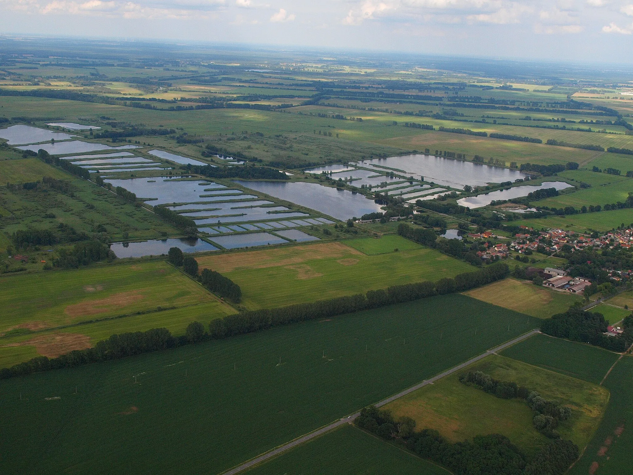 Photo showing: Teichland Linum