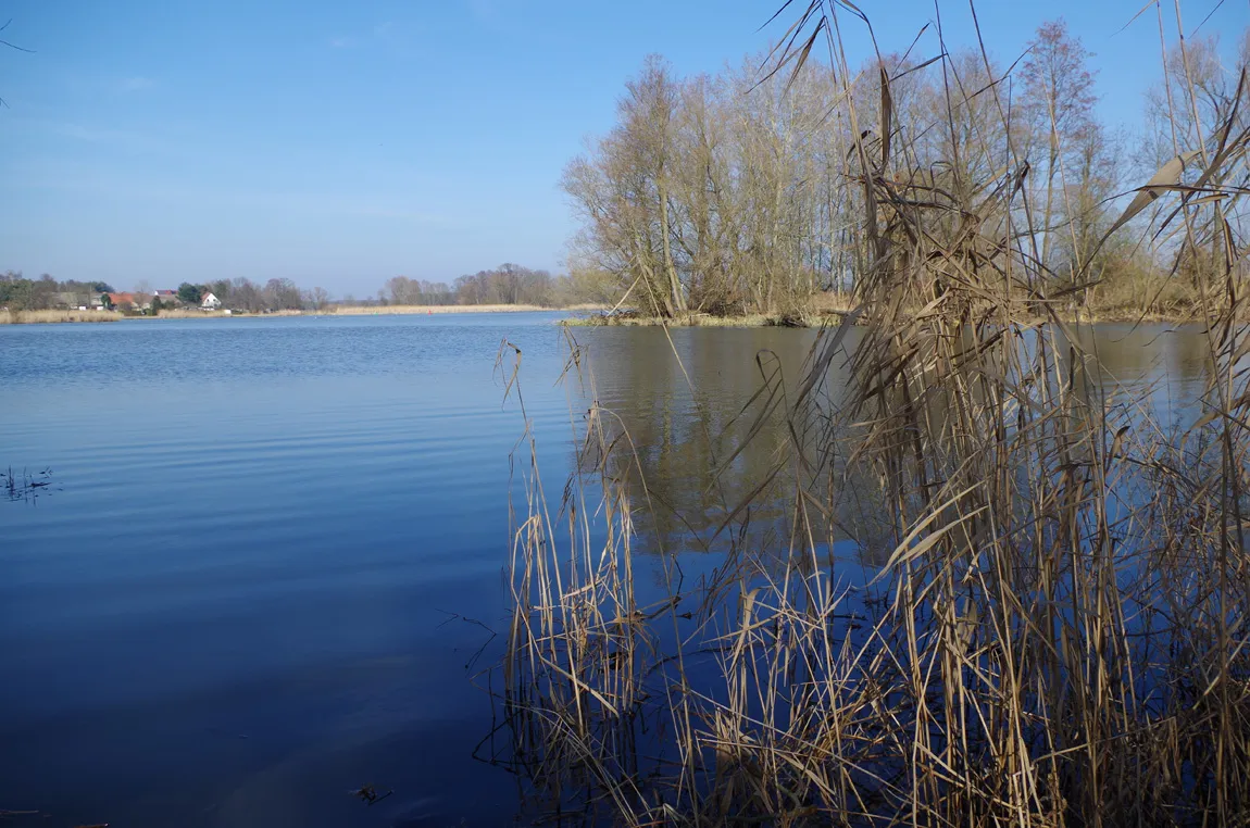 Photo showing: Der "Neuendorfer See"  in Brandenburg, Deutschland, vom Südufer aus