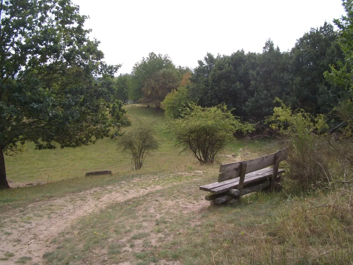 Photo showing: Naturschutzgebiet Hauptmannsberg (Mecklenburg-Vorpommern).