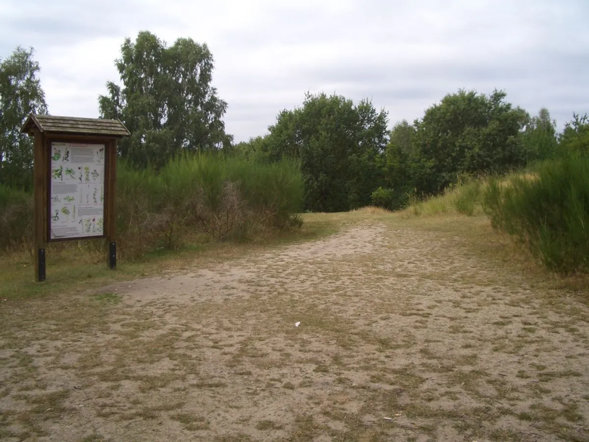 Photo showing: Wanderweg durch das Naturschutzgebiet Hauptmannsberg (Mecklenburg-Vorpommern).