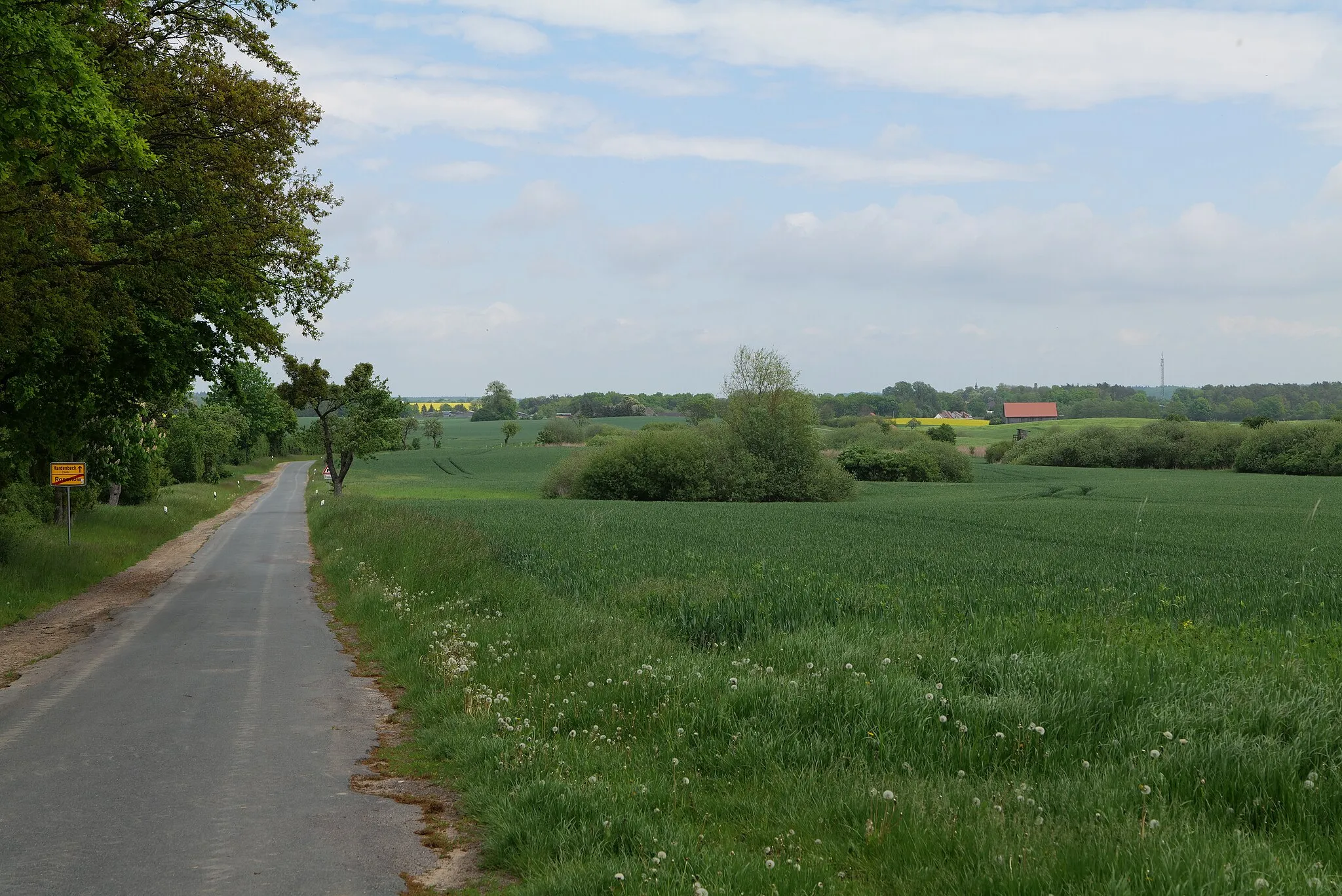 Photo showing: Straße K7332 in Hardenbeck im Landschaftsschutzgebiet Norduckermärkische Seenlandschaft des Naturpark Uckermärkische Seen.