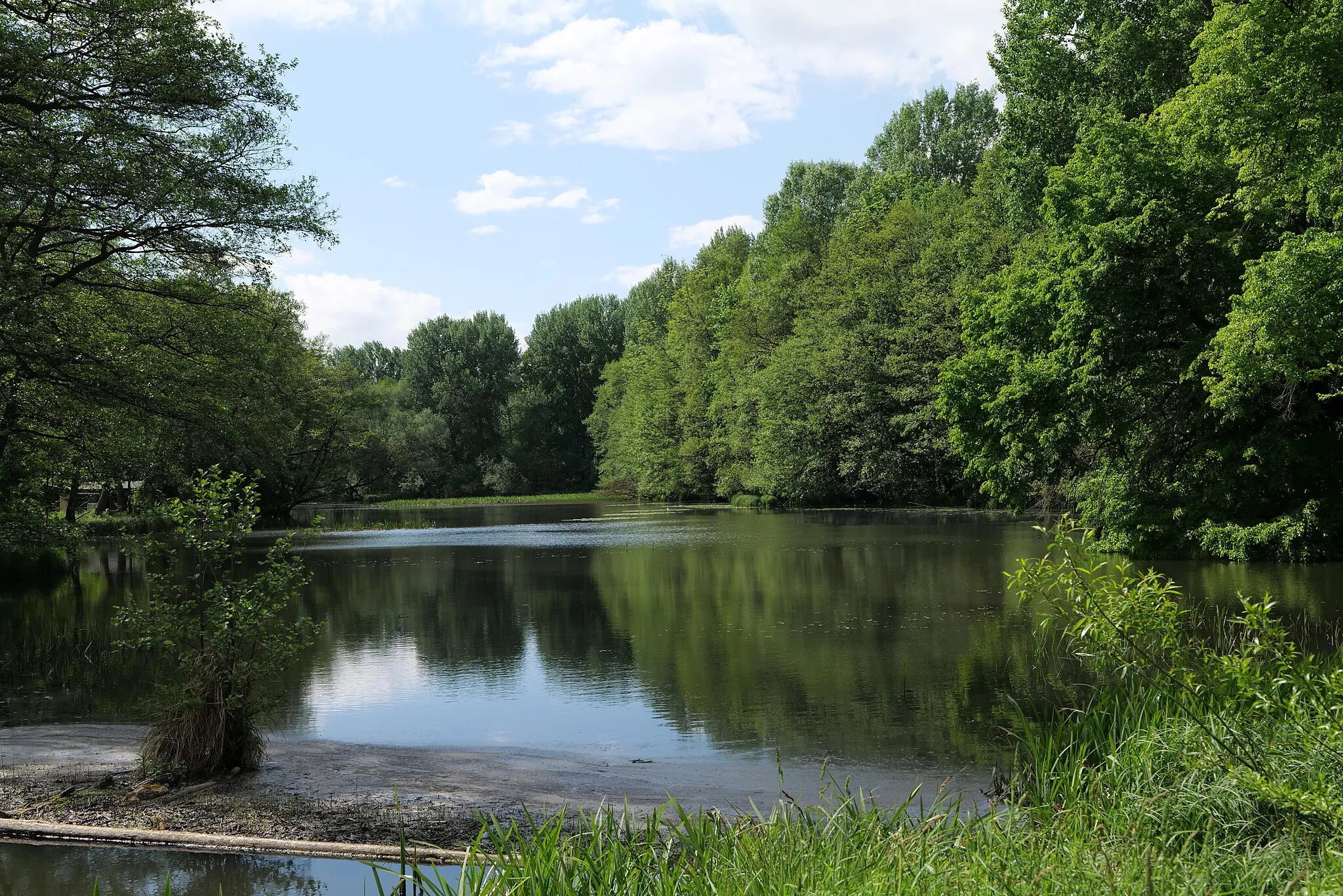 Photo showing: Mühlenbach Gollmitz.