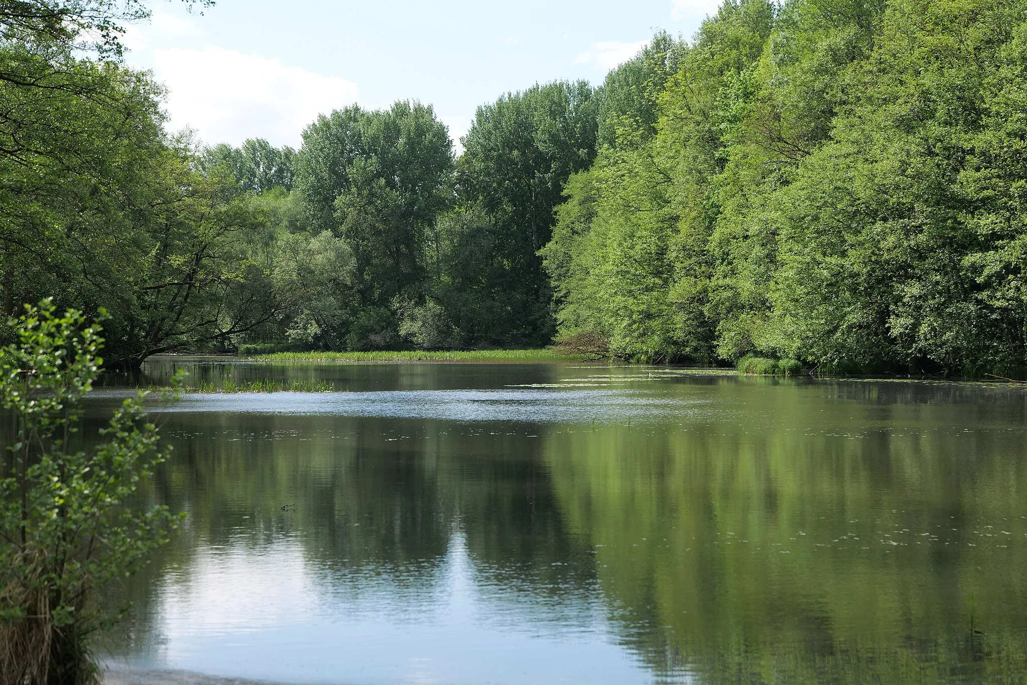 Photo showing: Mühlenbach Gollmitz.