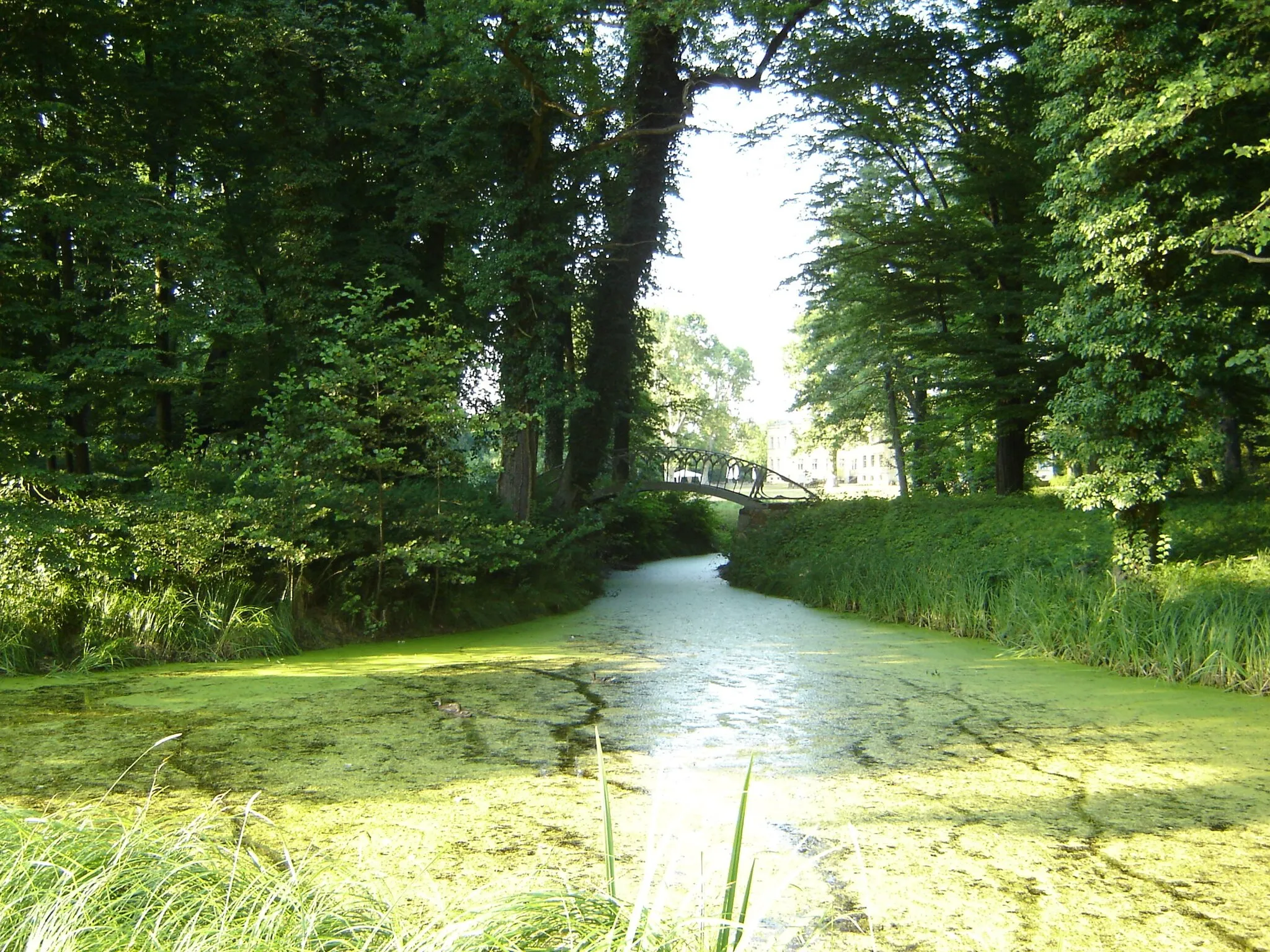Photo showing: Im Park des Schlosses Steinhöfel.
