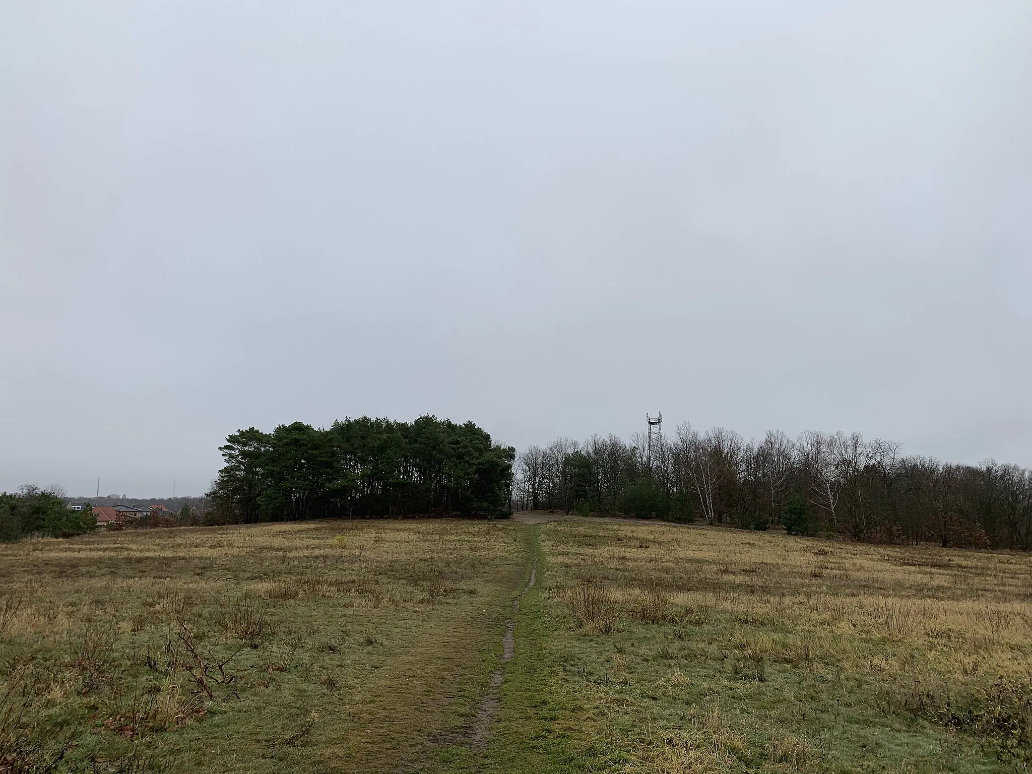 Photo showing: Hortenberg, 51m hohe Erhebung in Königs Wusterhausen in Brandenburg