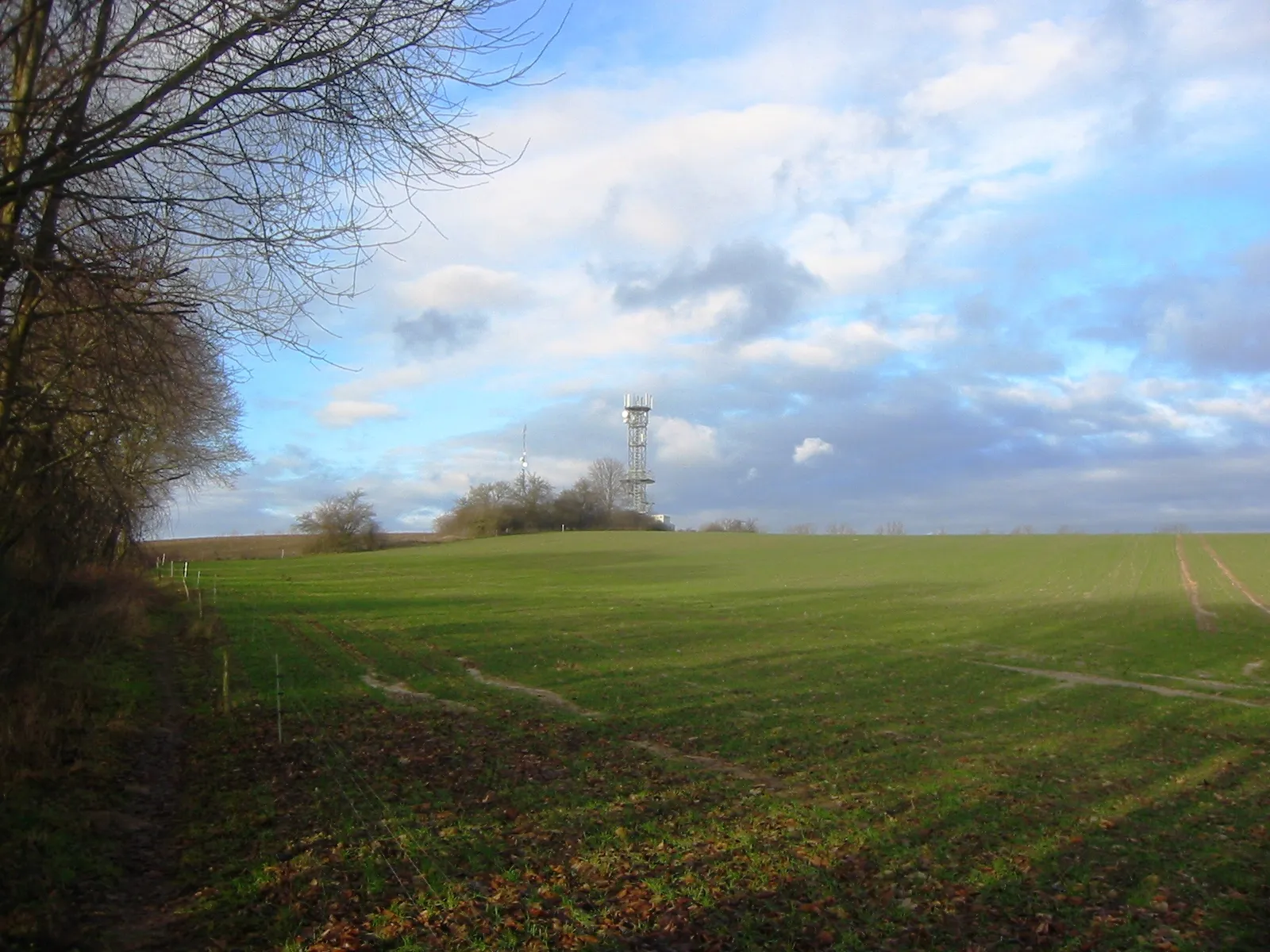 Photo showing: Blick auf den Gipsberg, eine 79,8 Meter hohe Erhebung in Sperenberg, Am Mellensee (Brandenburg)