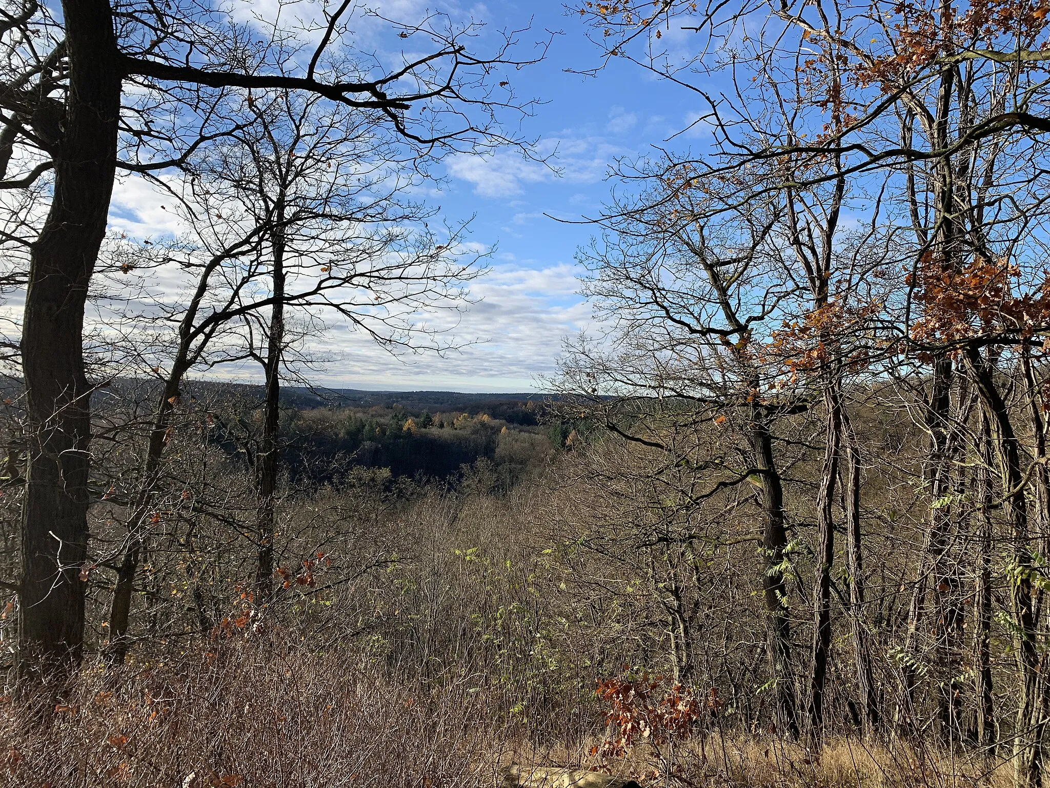 Photo showing: Der Dachsberg ist eine 106 Meter hohe Erhebung in Oberbarnim, Brandenburg